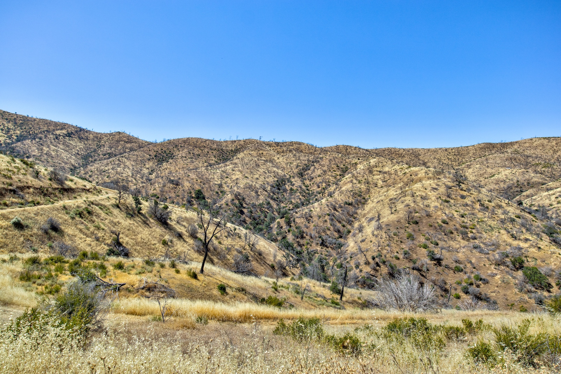 Old Iron Gate Ranch