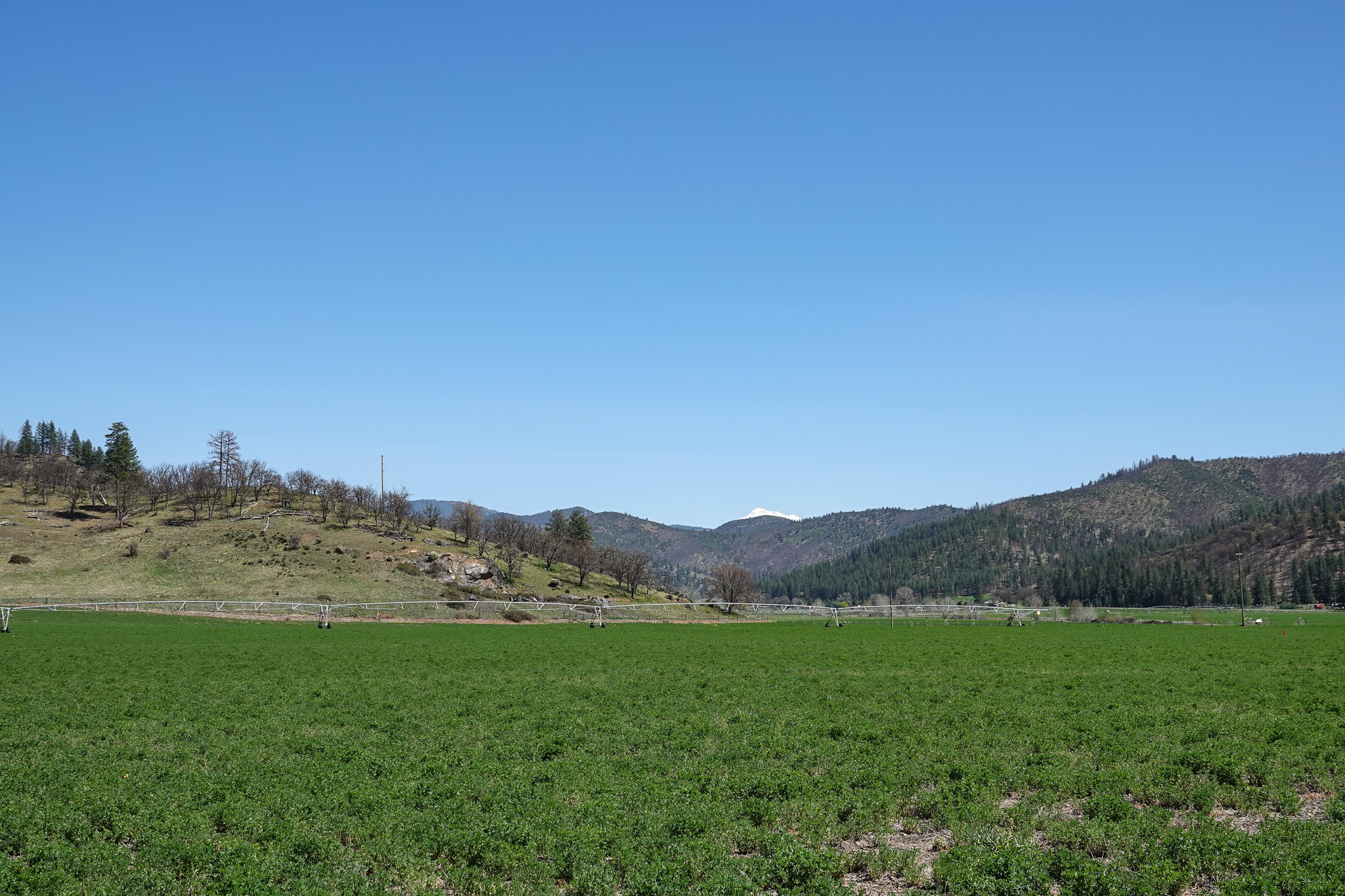 Kraus and Sons Ranch