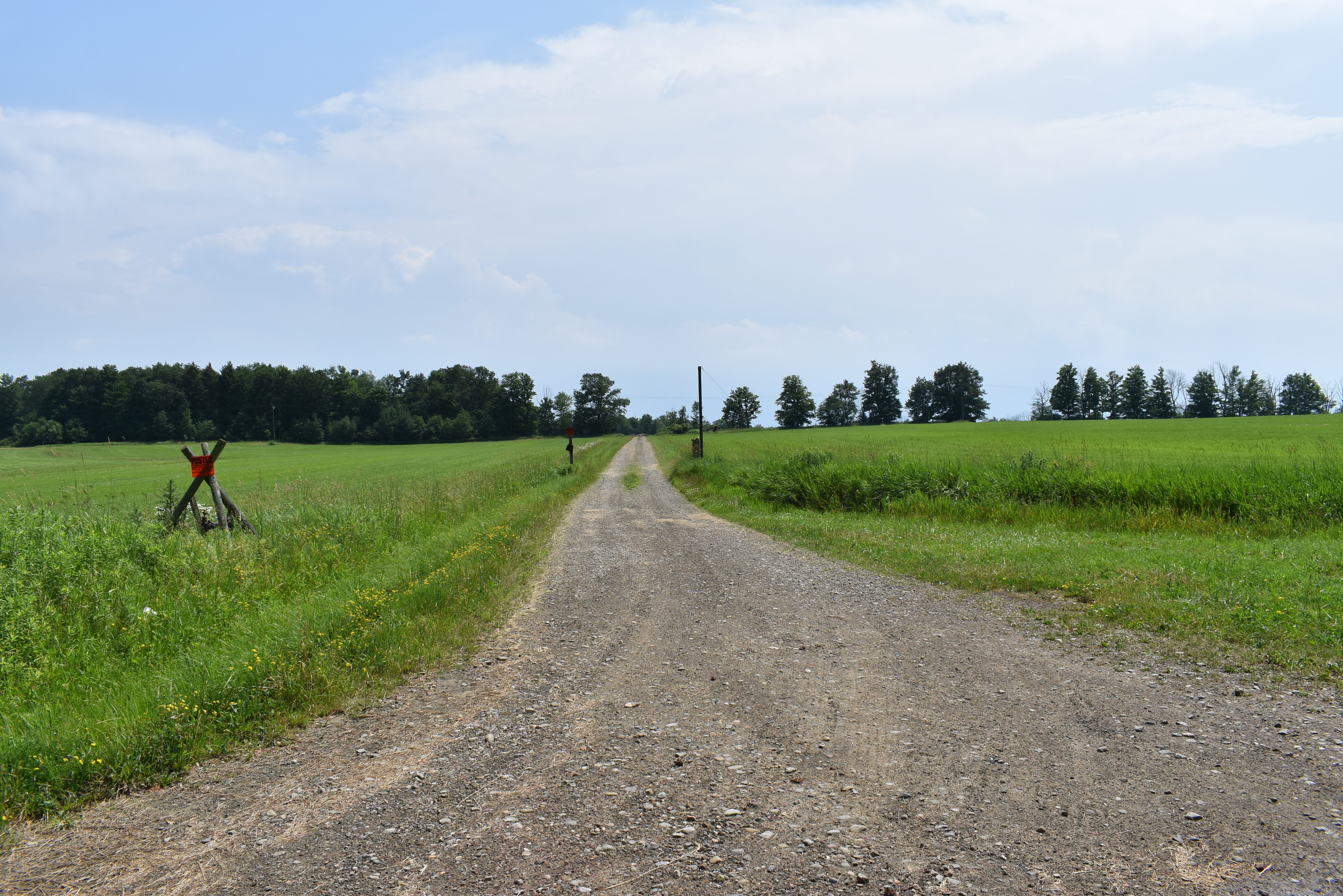 Listing Image 91