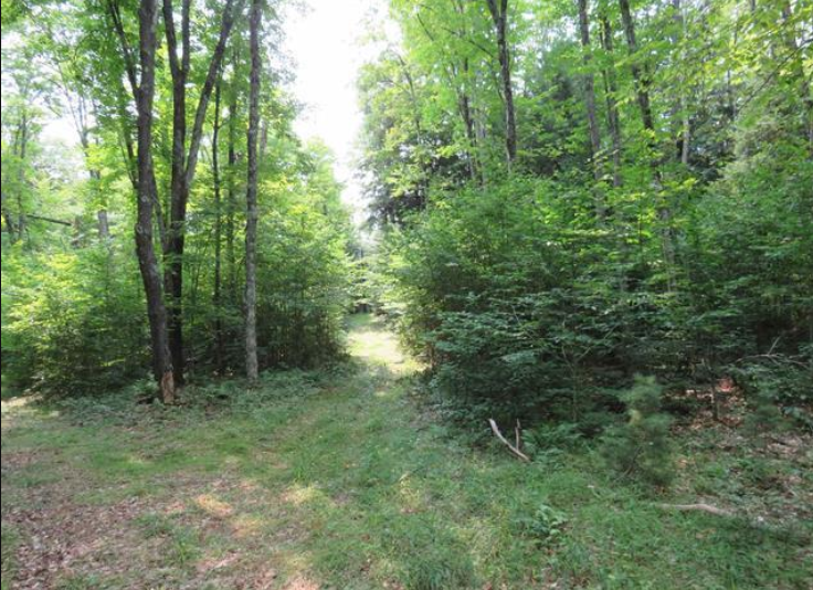 Listing Image 36