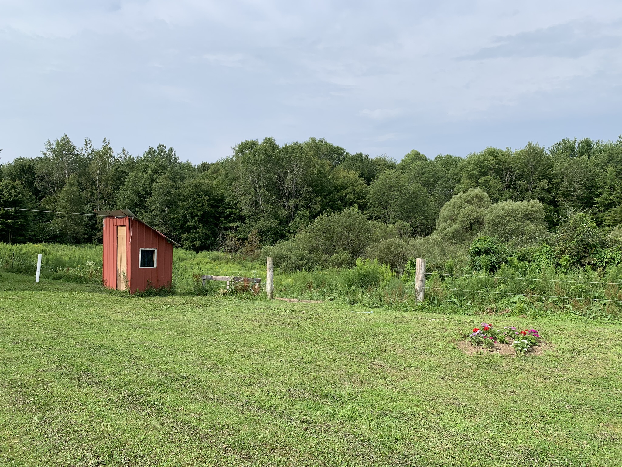 Lyman Brook Forest