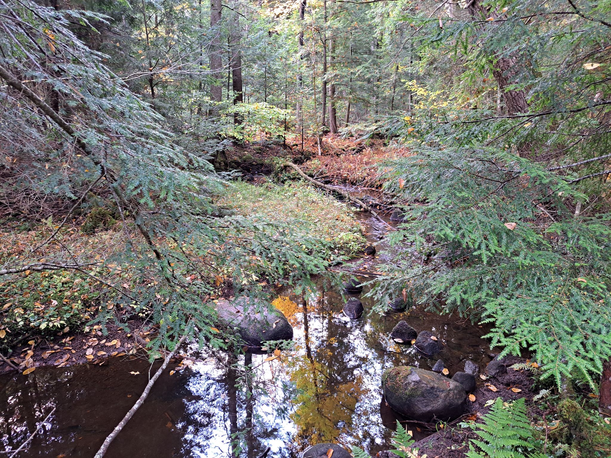 Listing Image 37