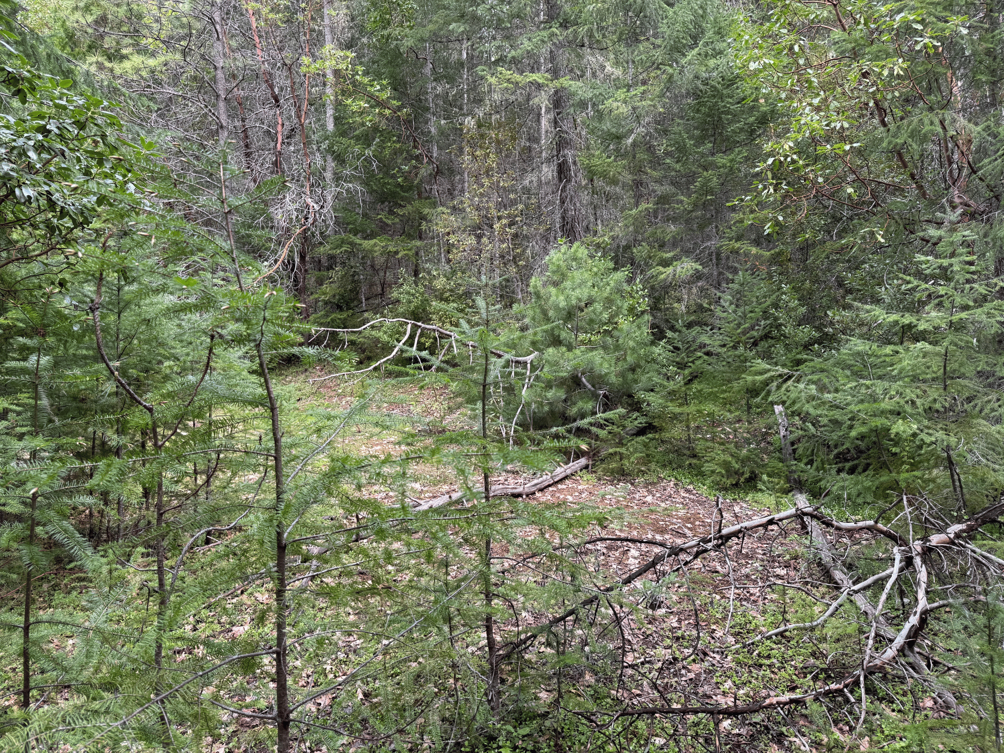 Listing Image 21