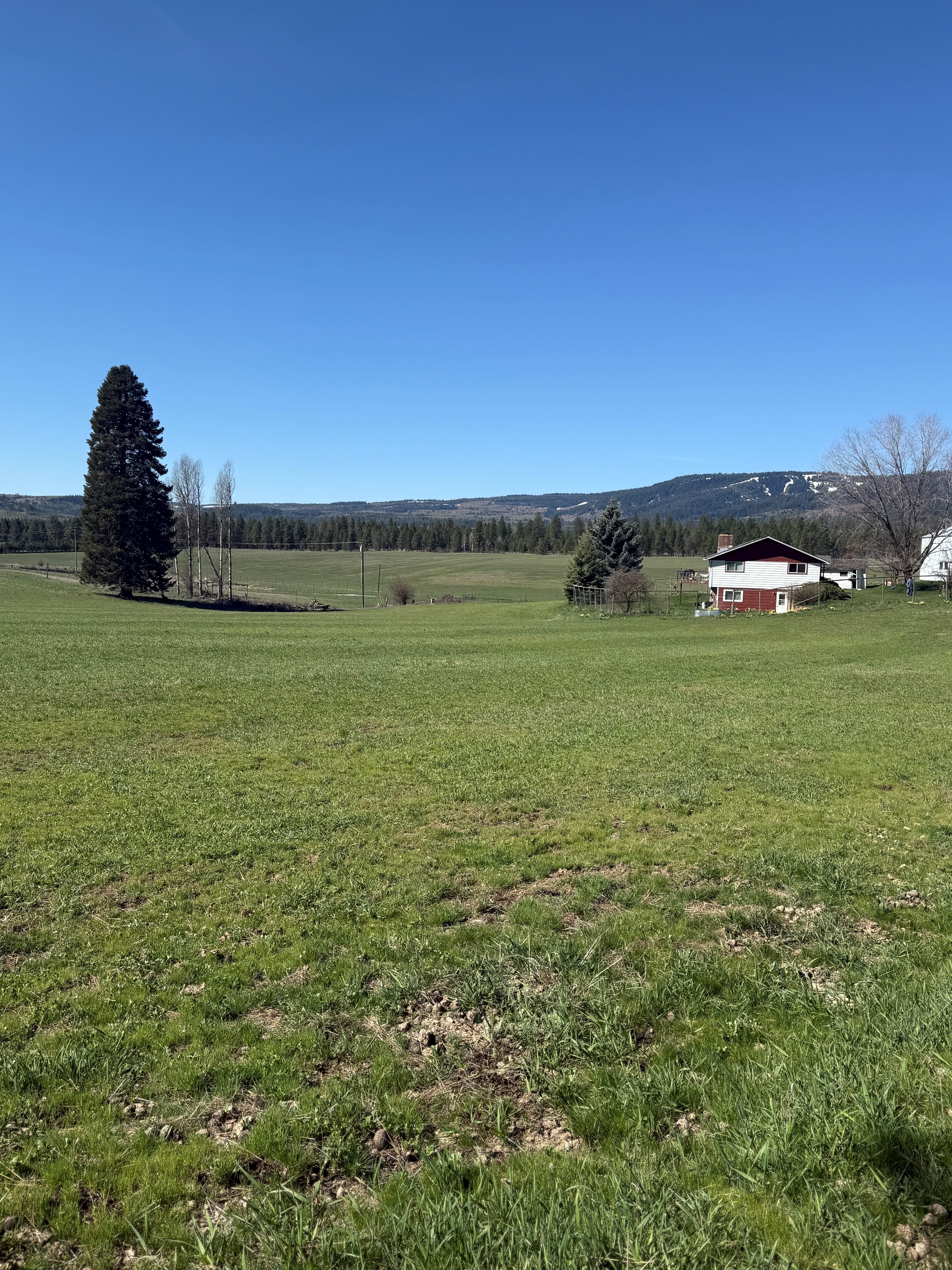 Cattle ranch/Hobby farm