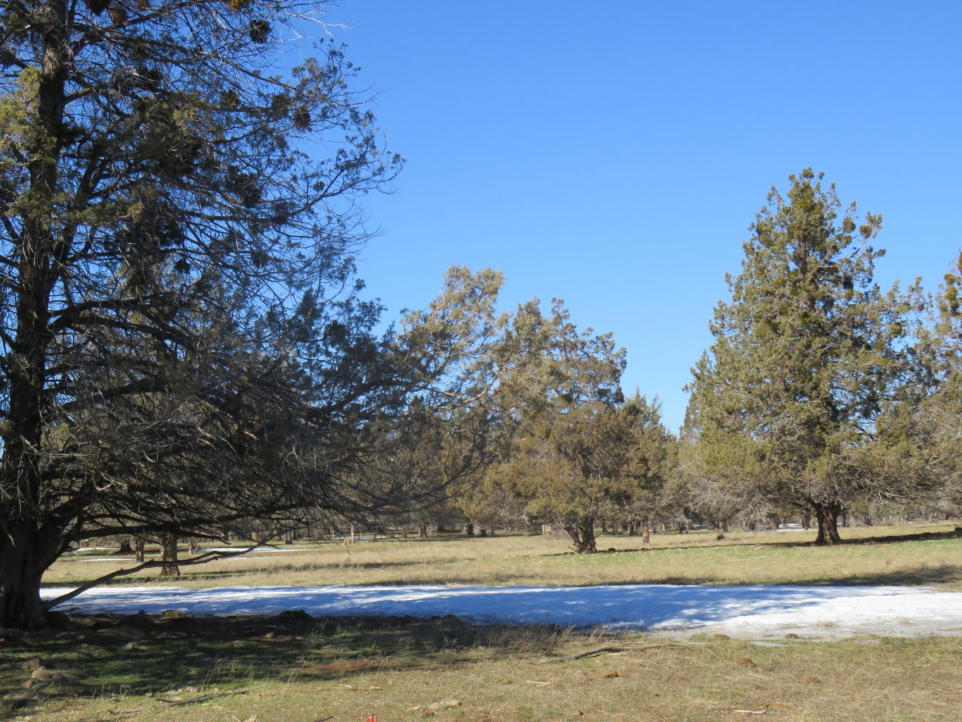 Lennon Lookout Ranch