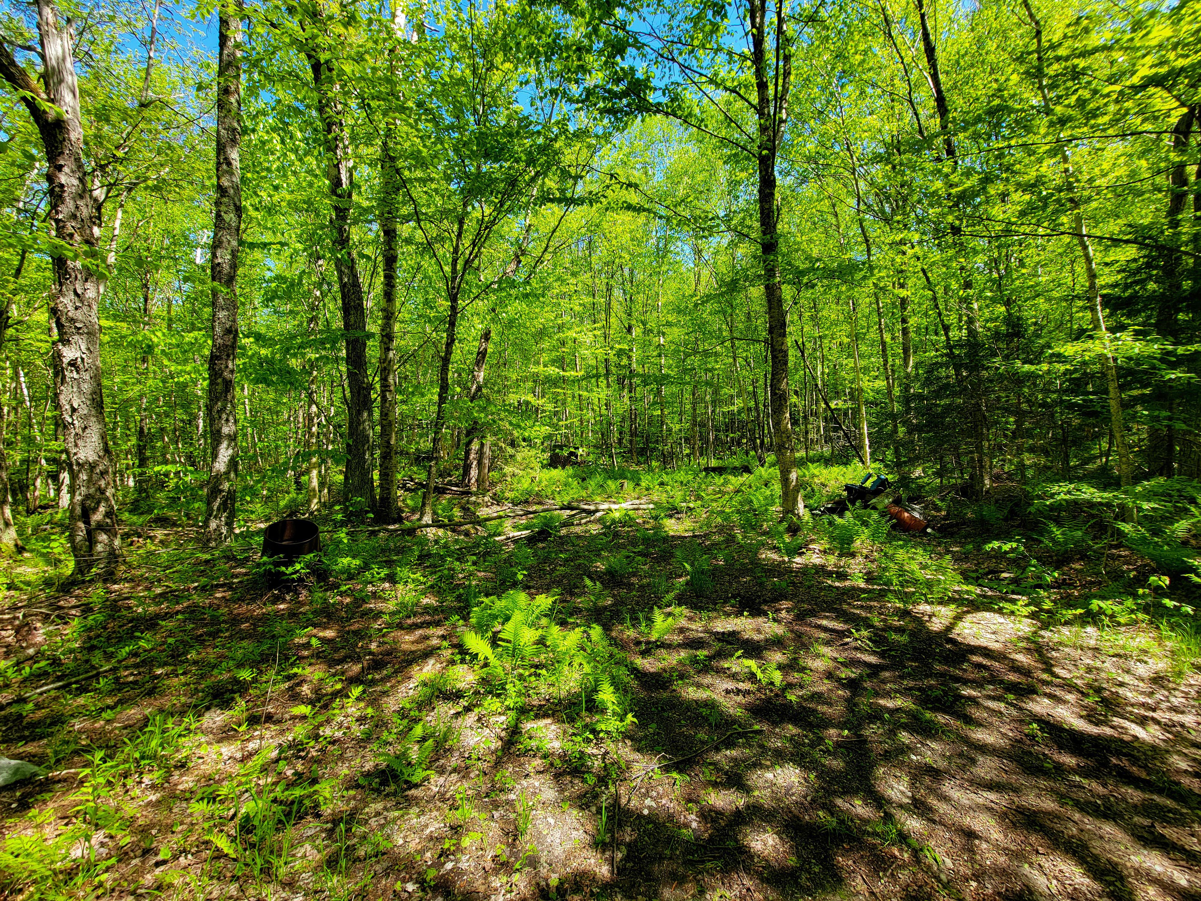 925 Hathaway Rd - Goshen