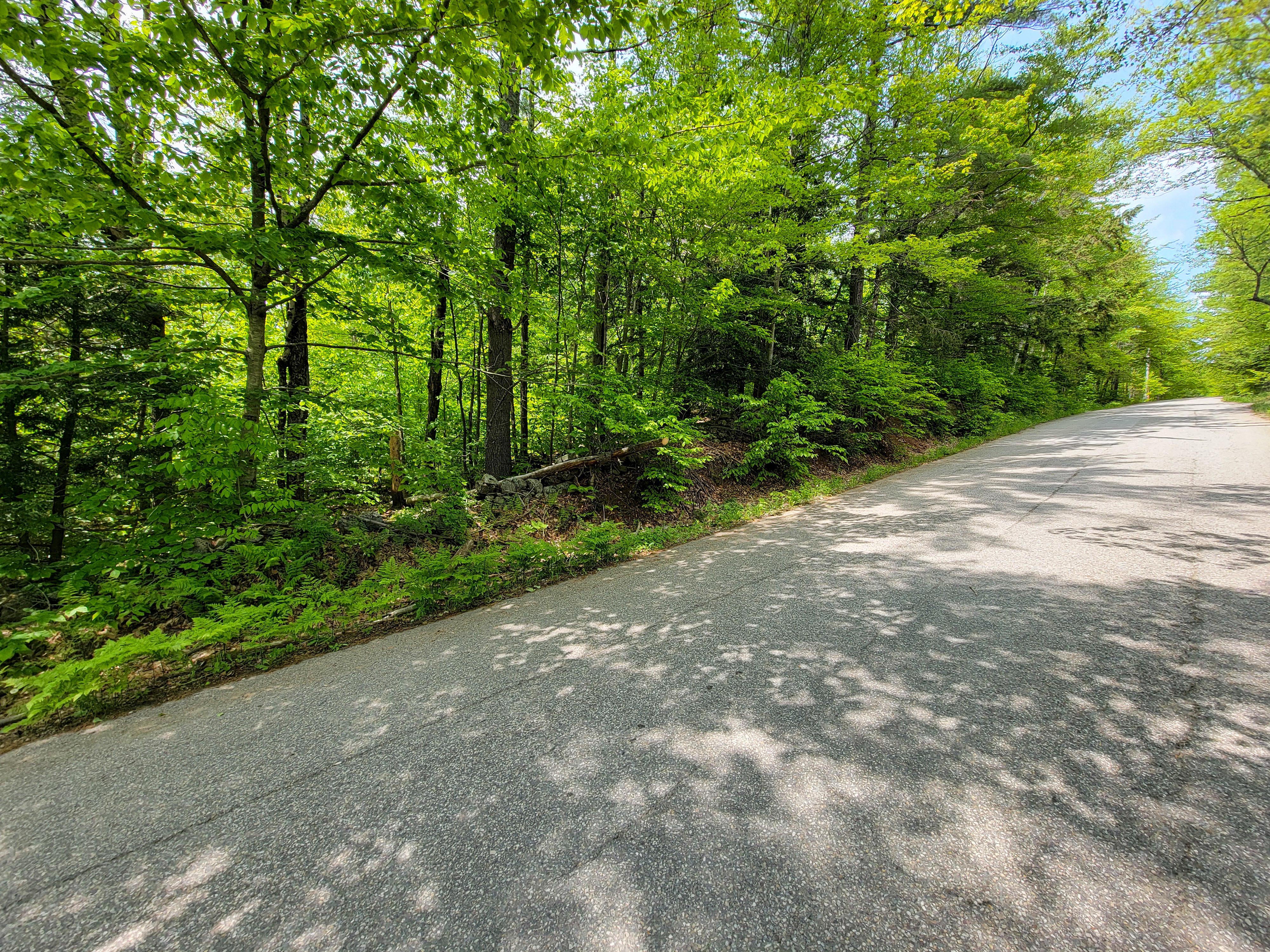 1105 South Hill Rd - Jamaica