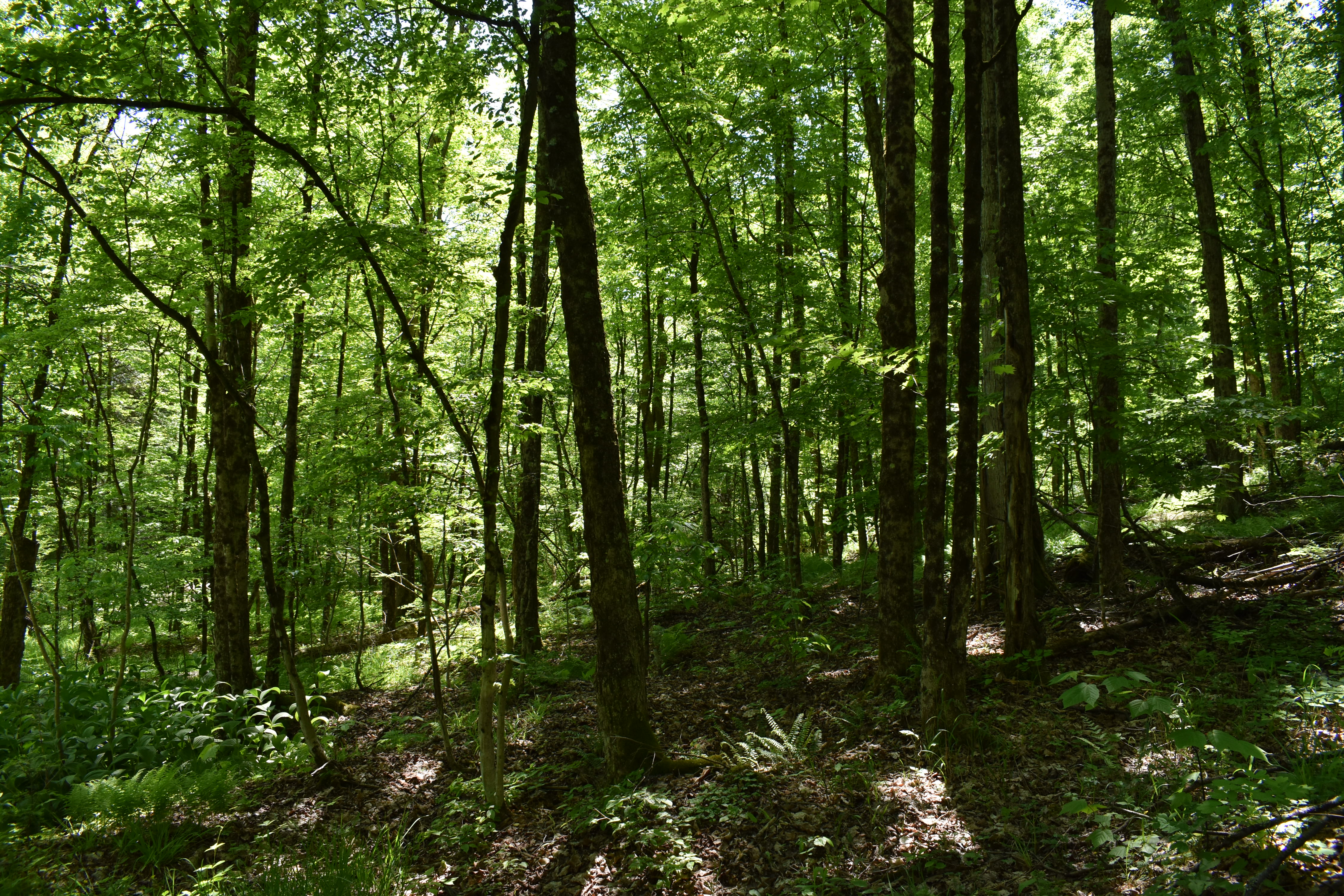 Listing Image 14