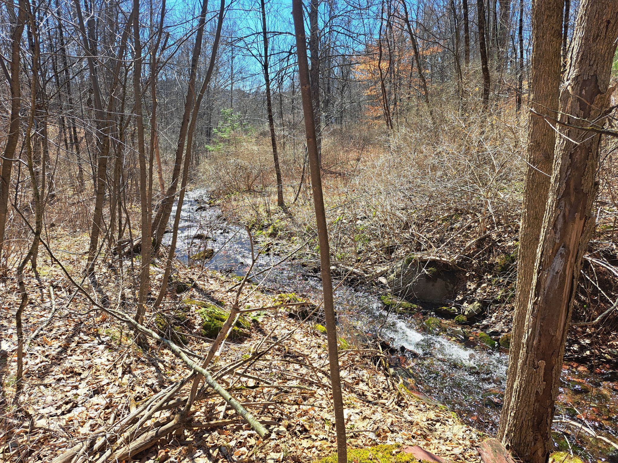 Listing Image 14