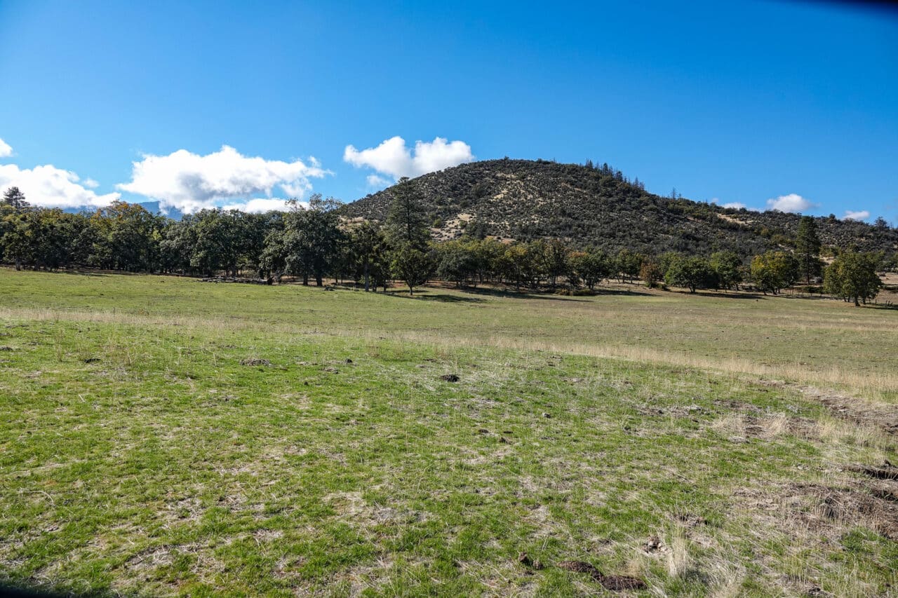 Listing Image 42