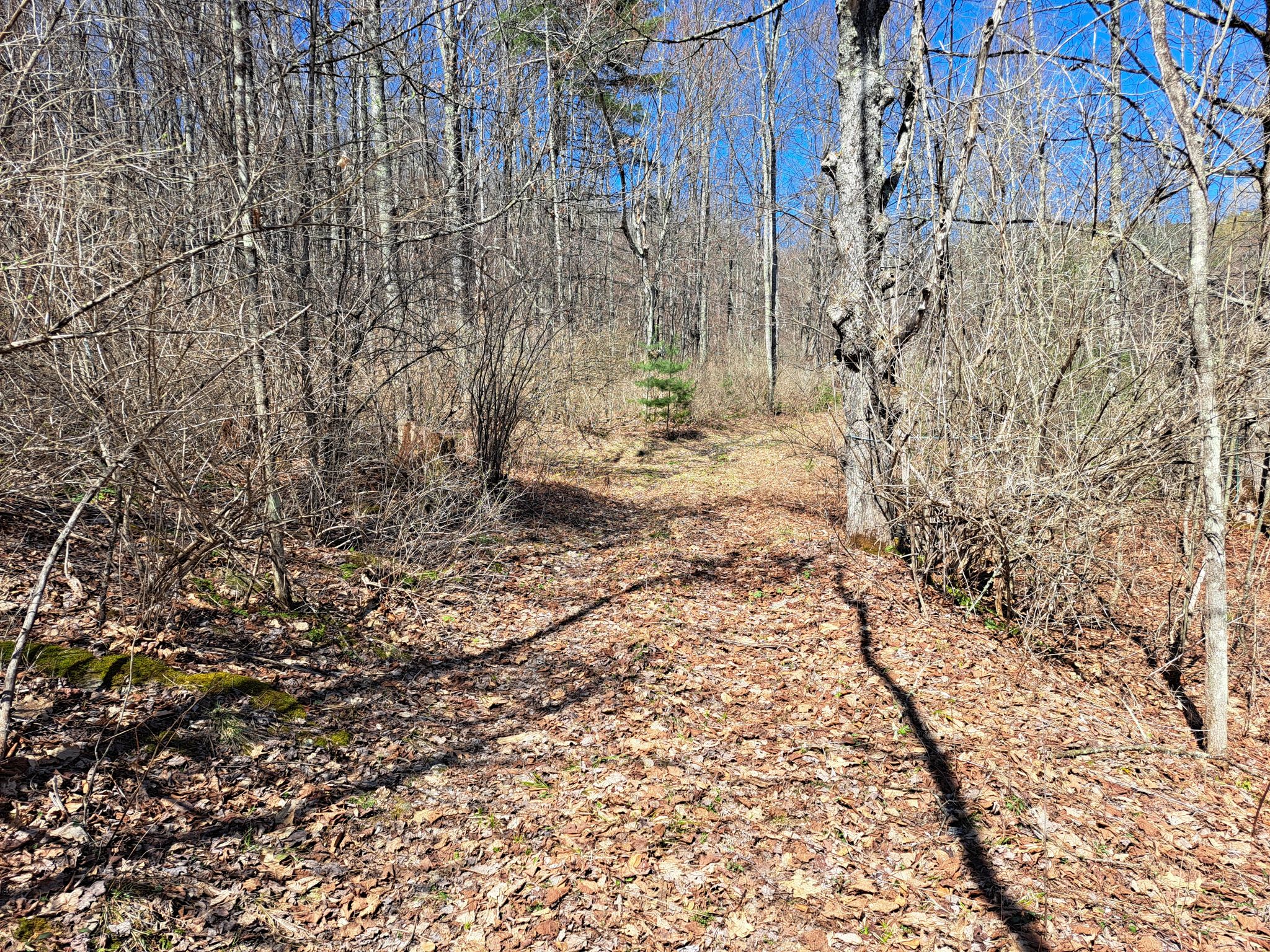 Listing Image 52