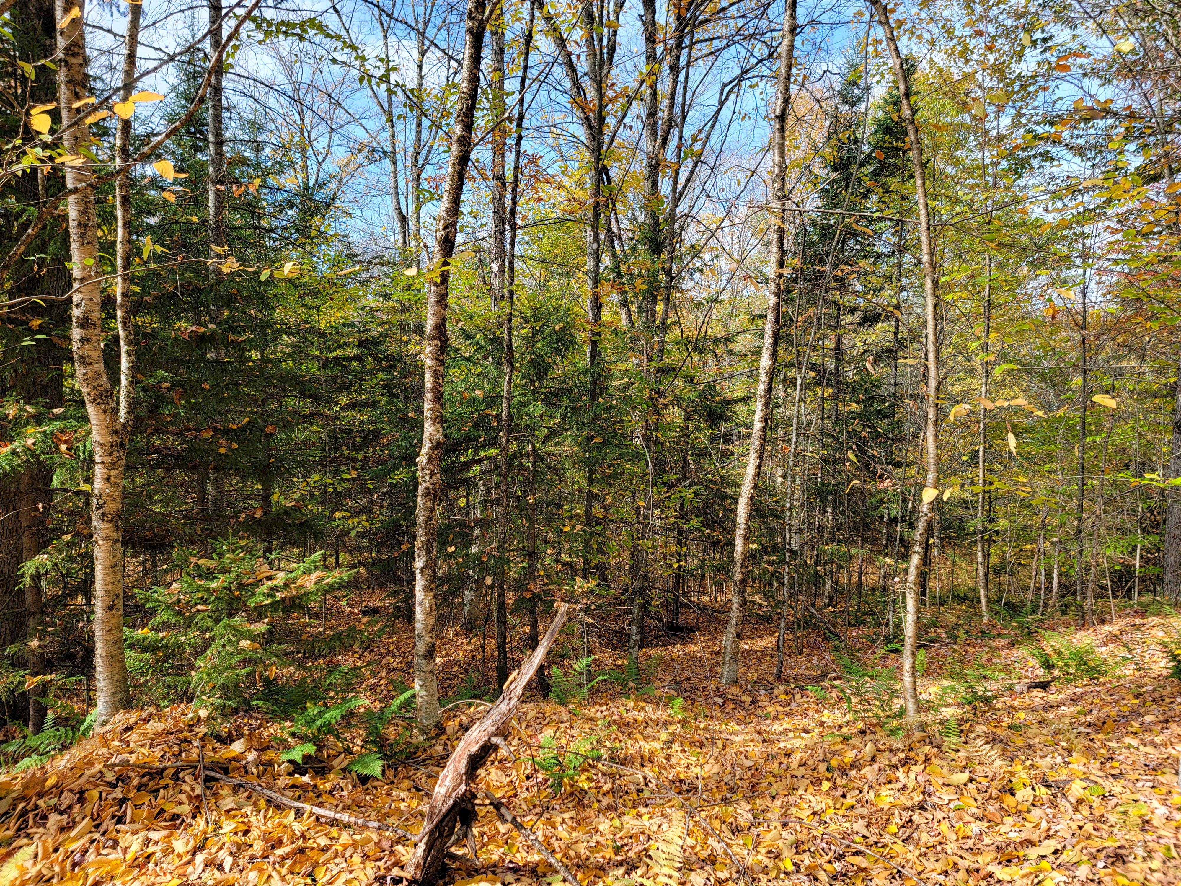 Listing Image 45