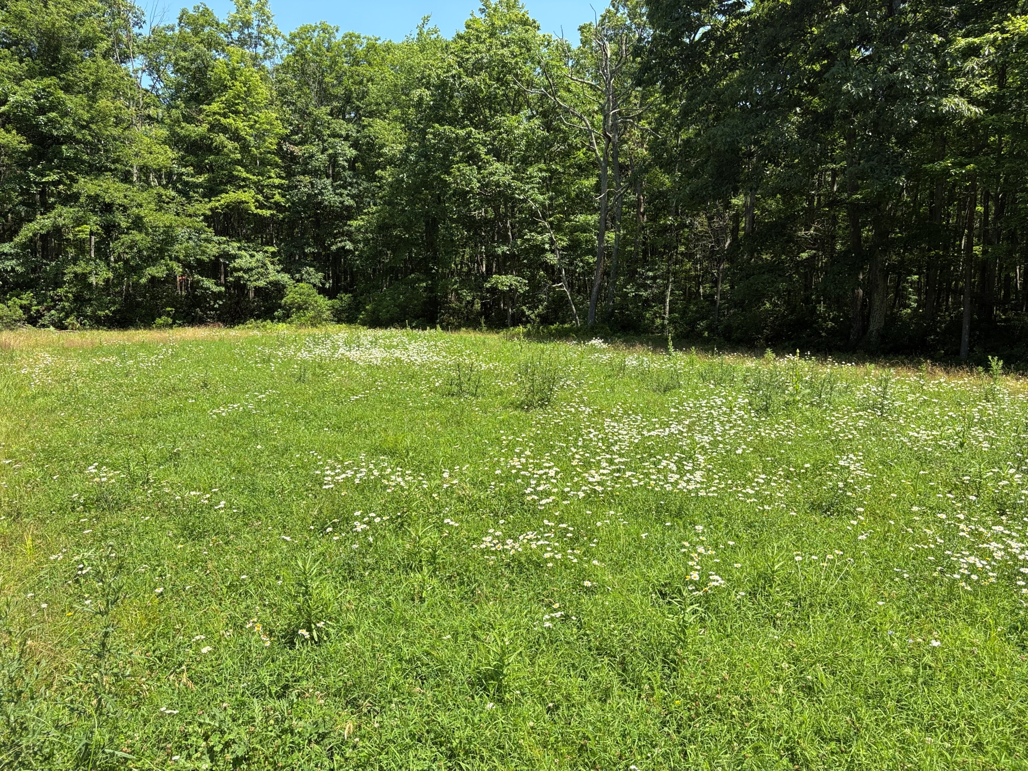 Listing Image 28
