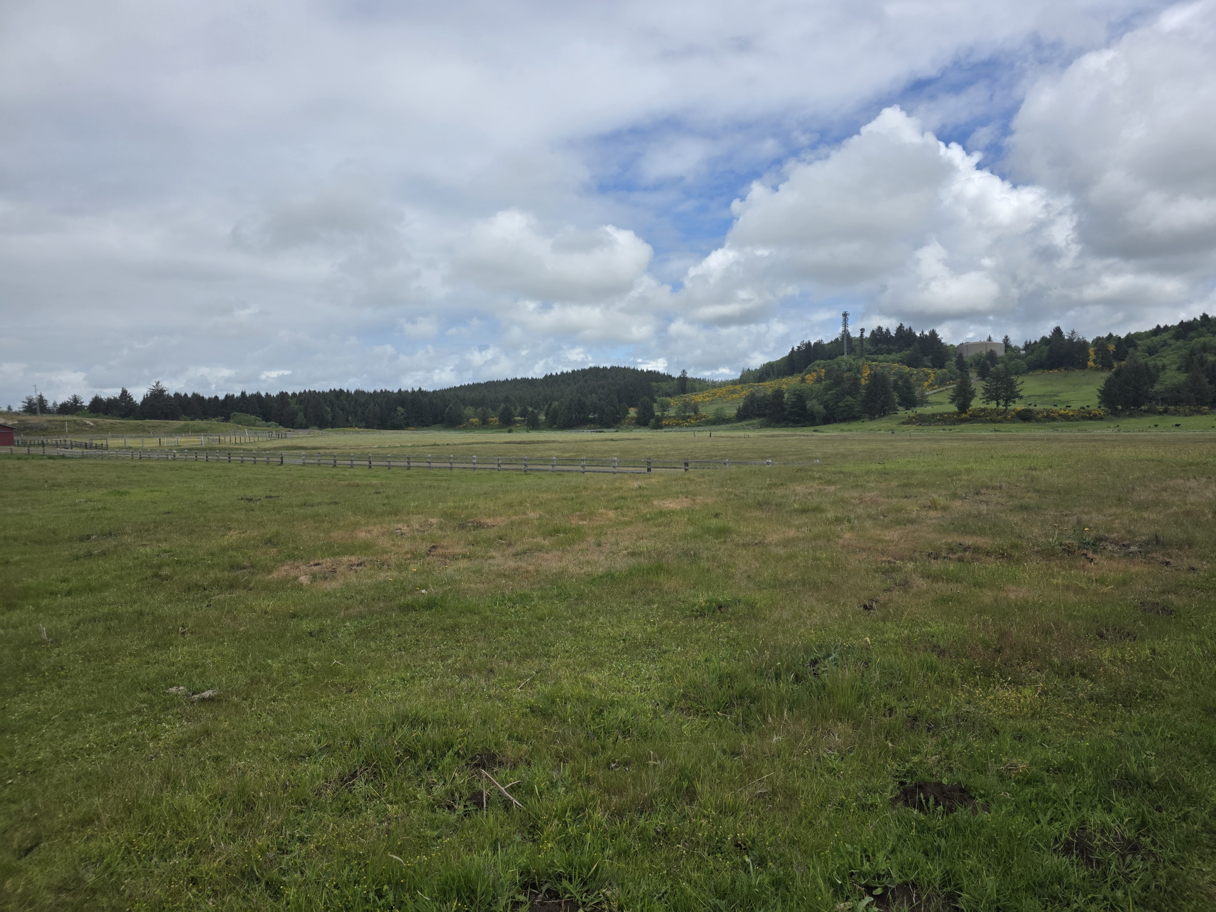 Tagg Ranch