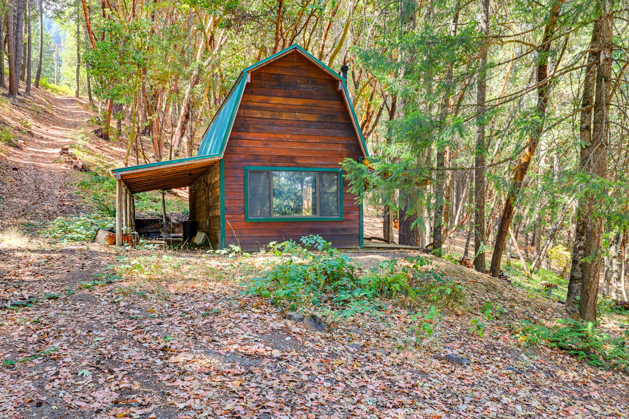 Listing Image 6