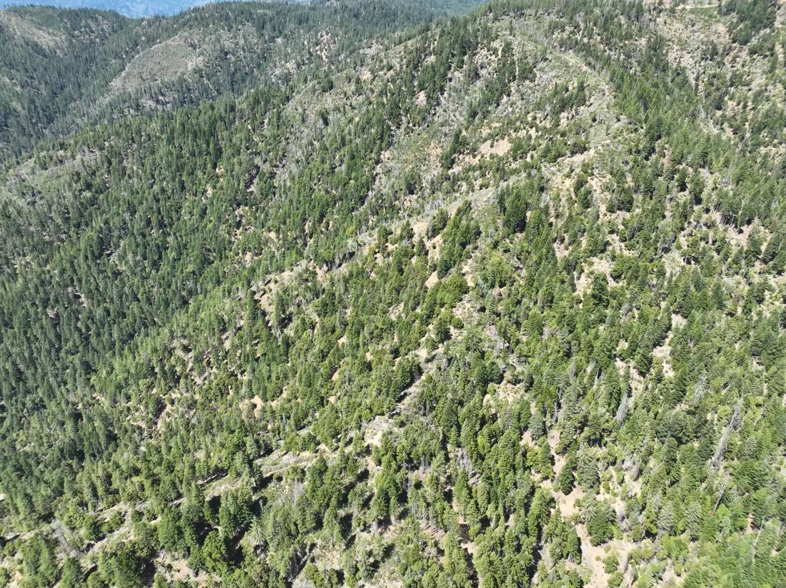 160 Acres Hyampom