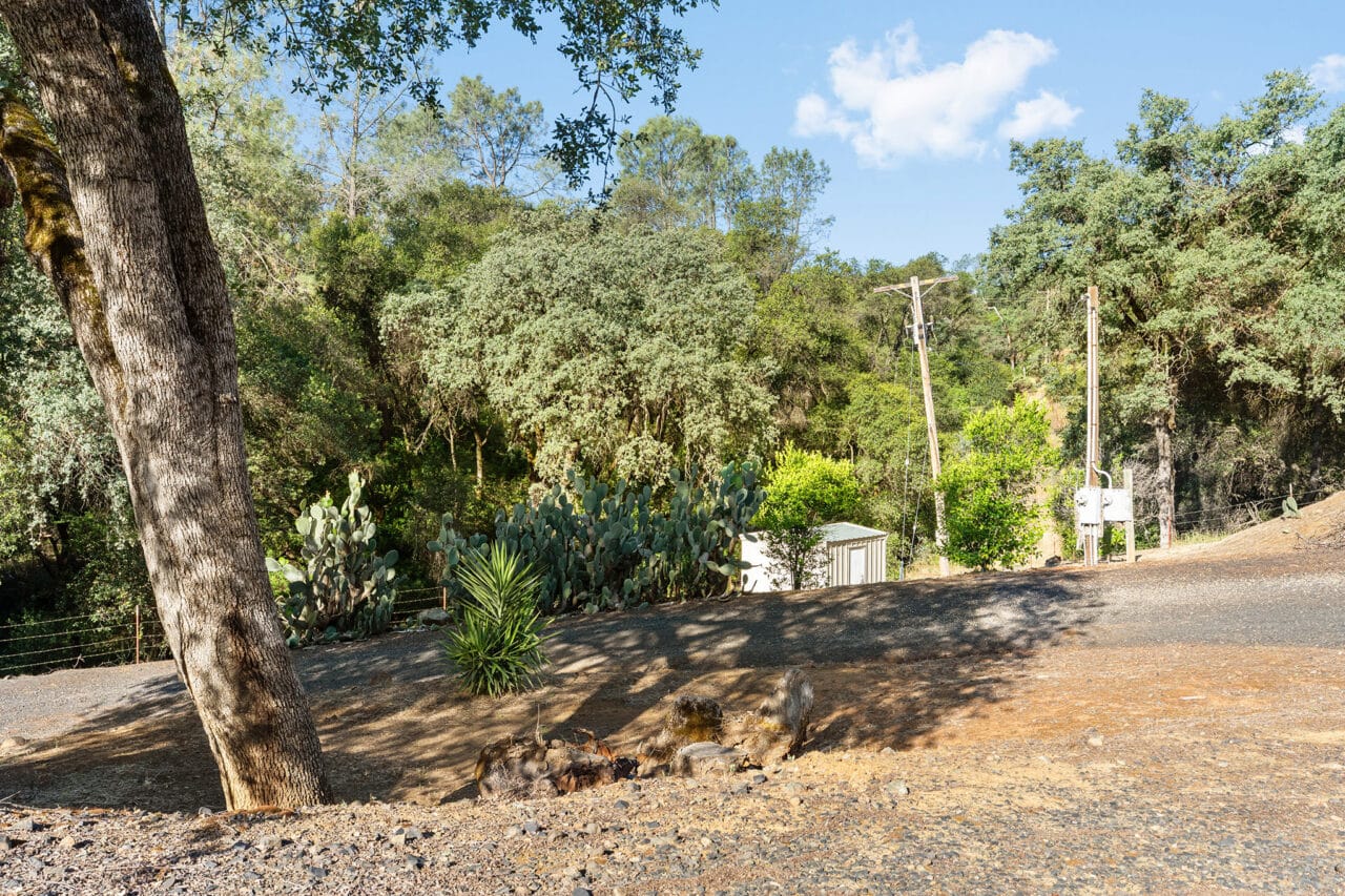 Listing Image 77
