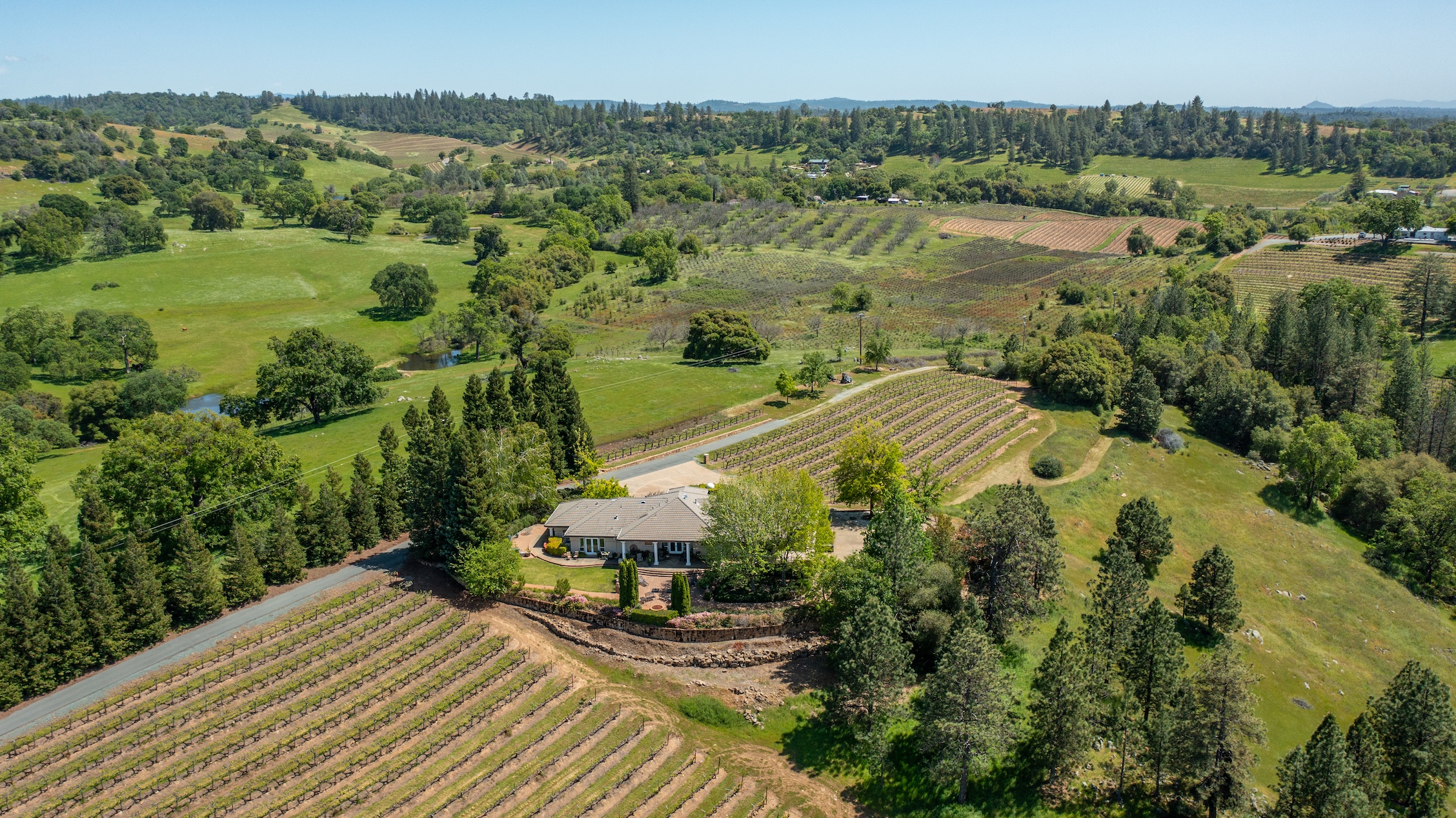 Listing Image 81