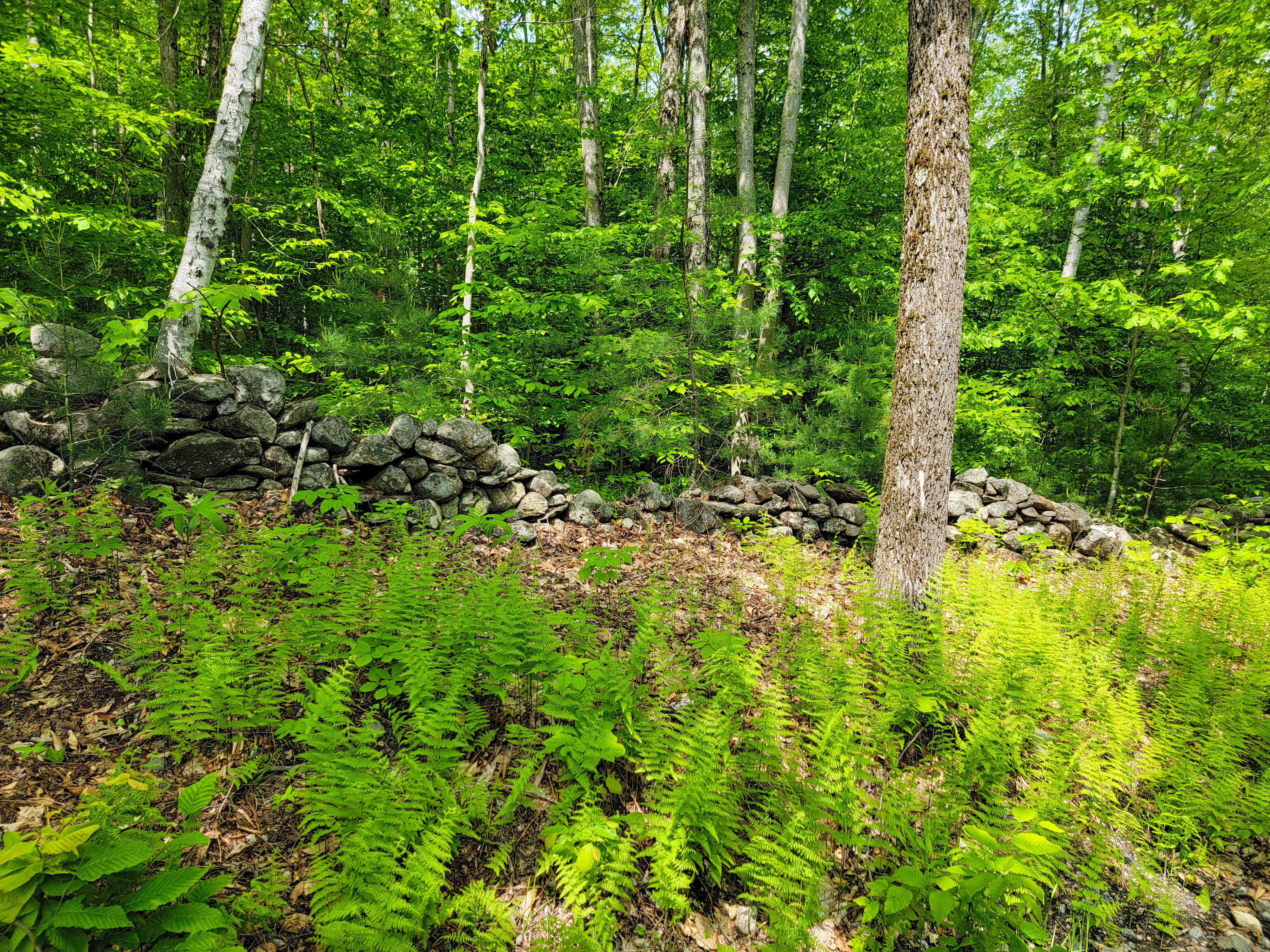 184 Schoolhouse Rd Jamaica
