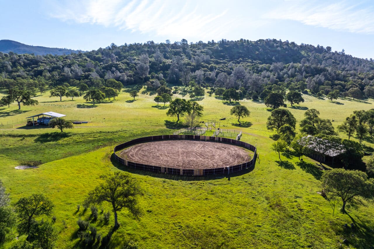 The Gann Ranch