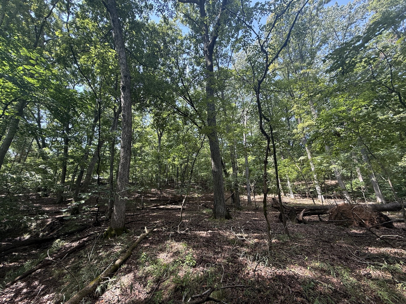 The Hidden Fairway Lot