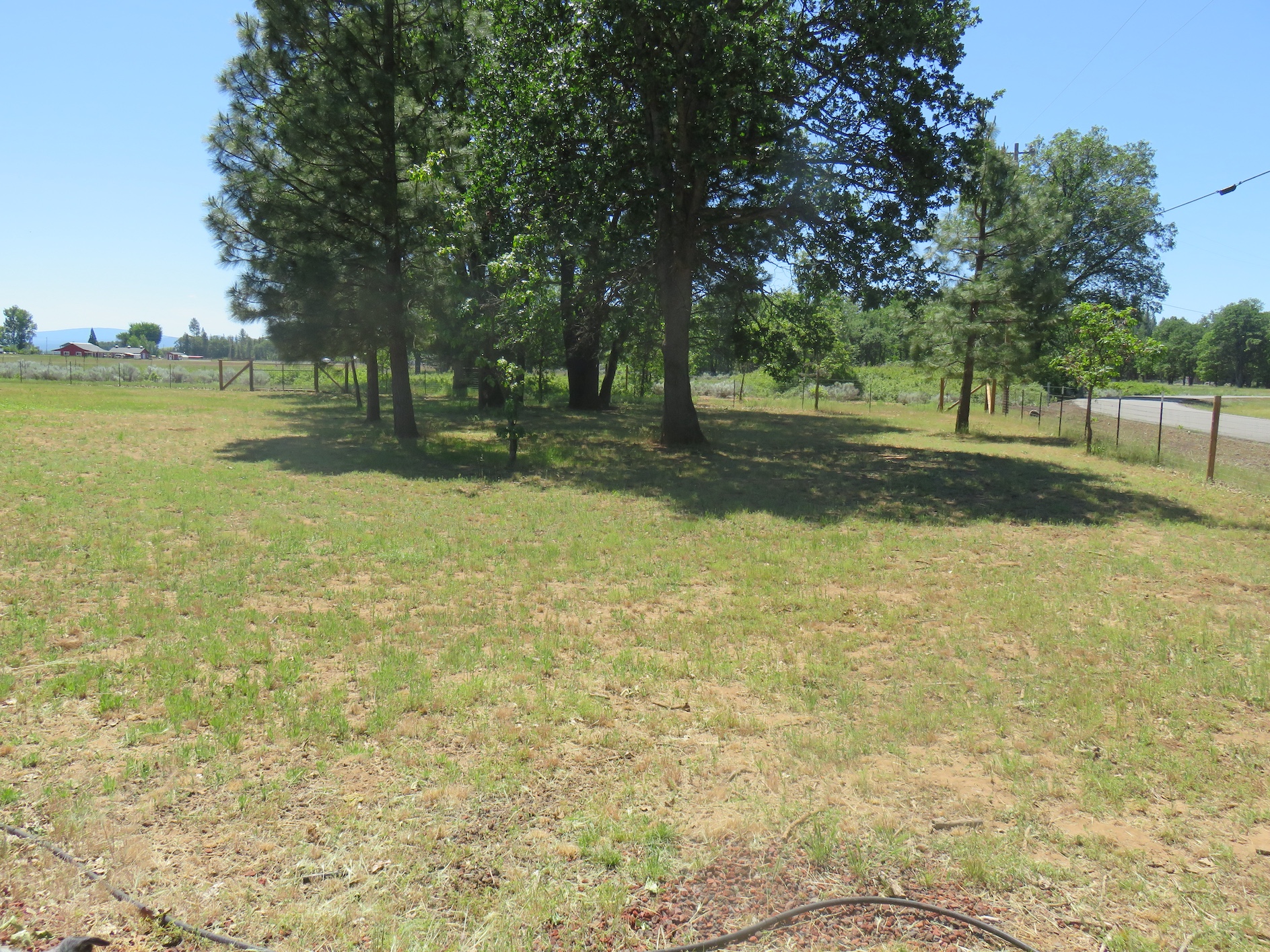 Listing Image 36