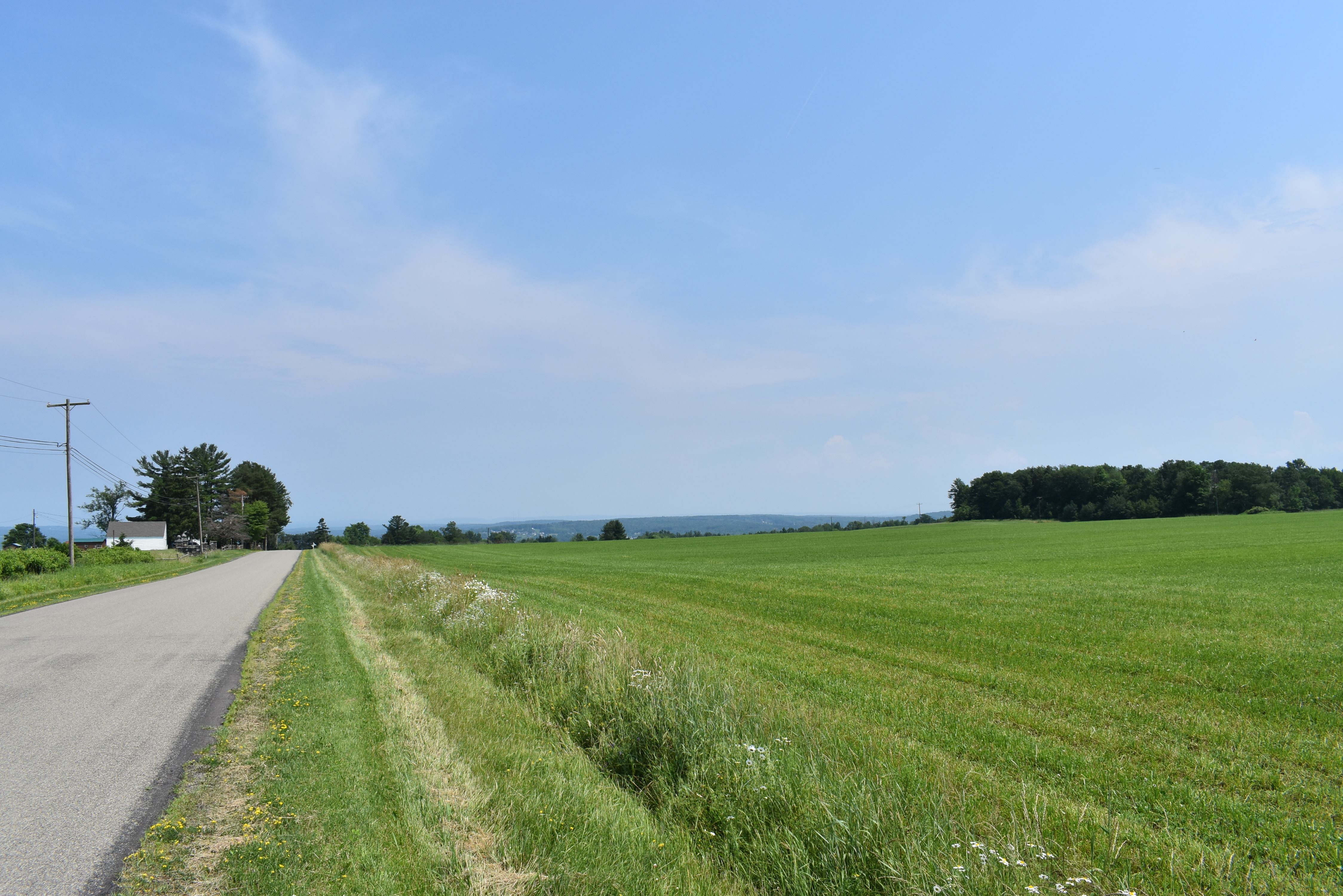 Listing Image 96