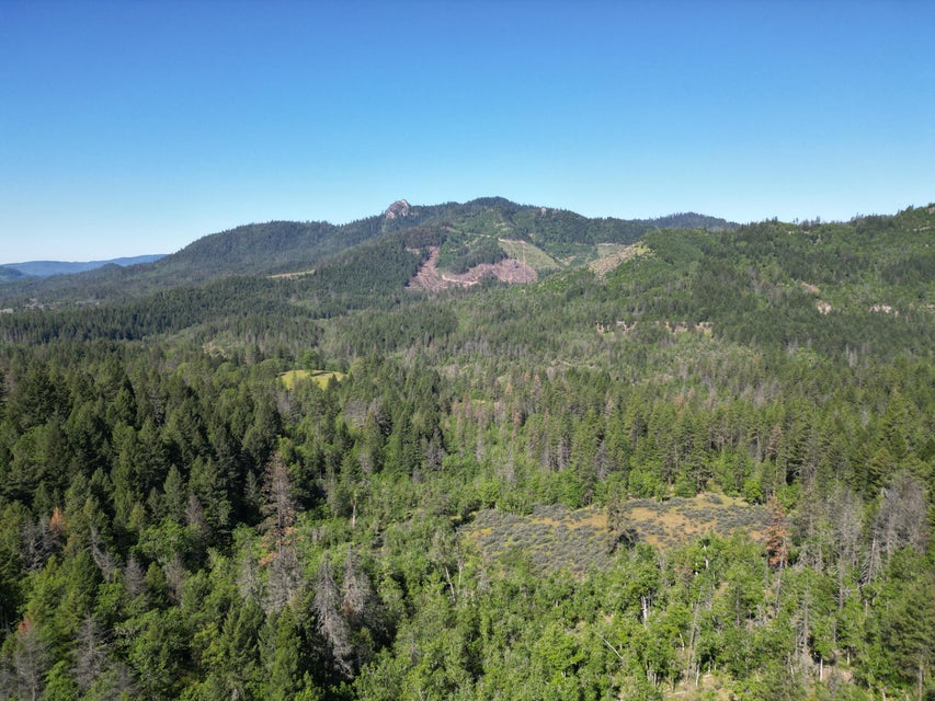 Listing Image 48