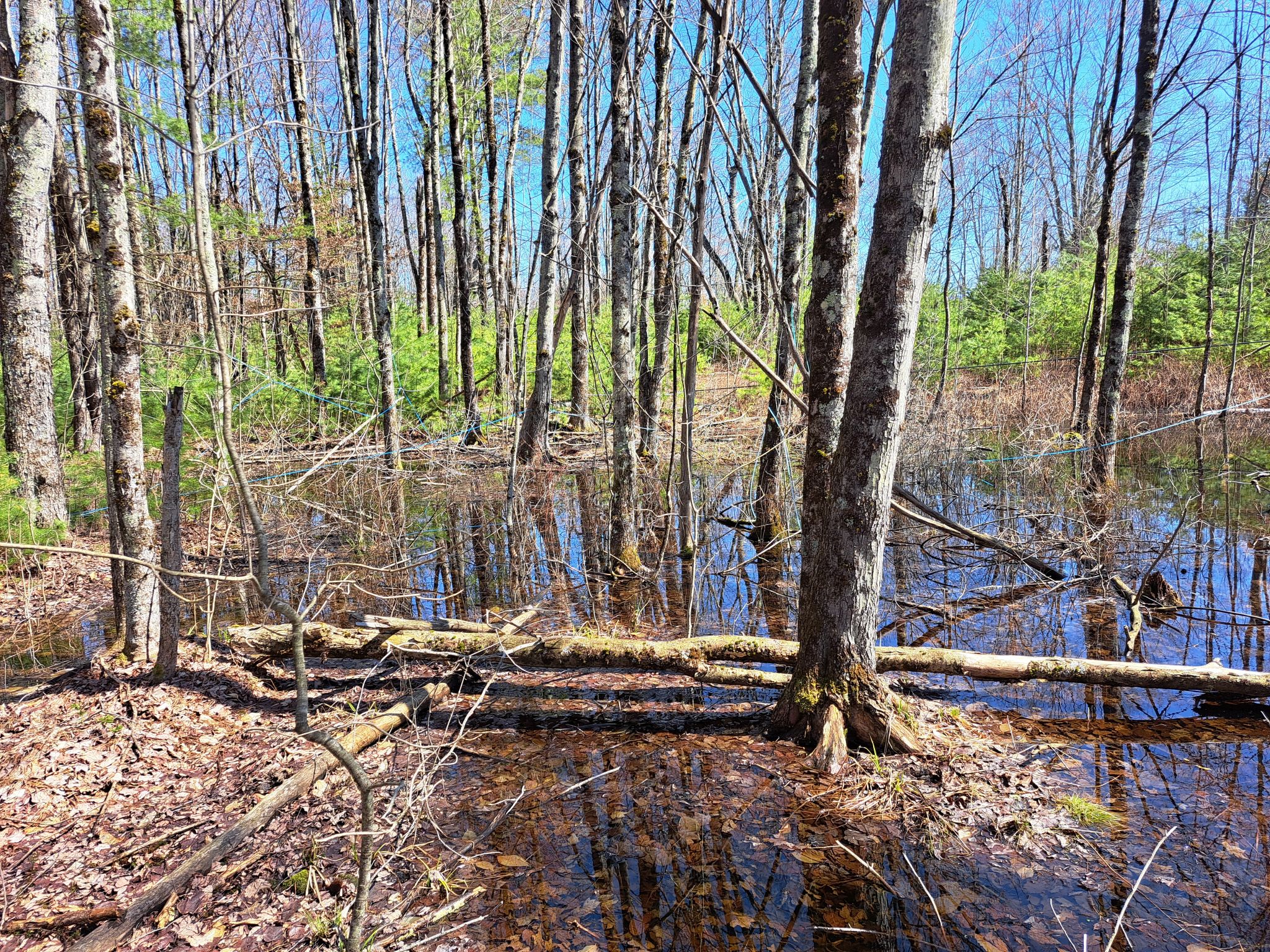 Listing Image 62
