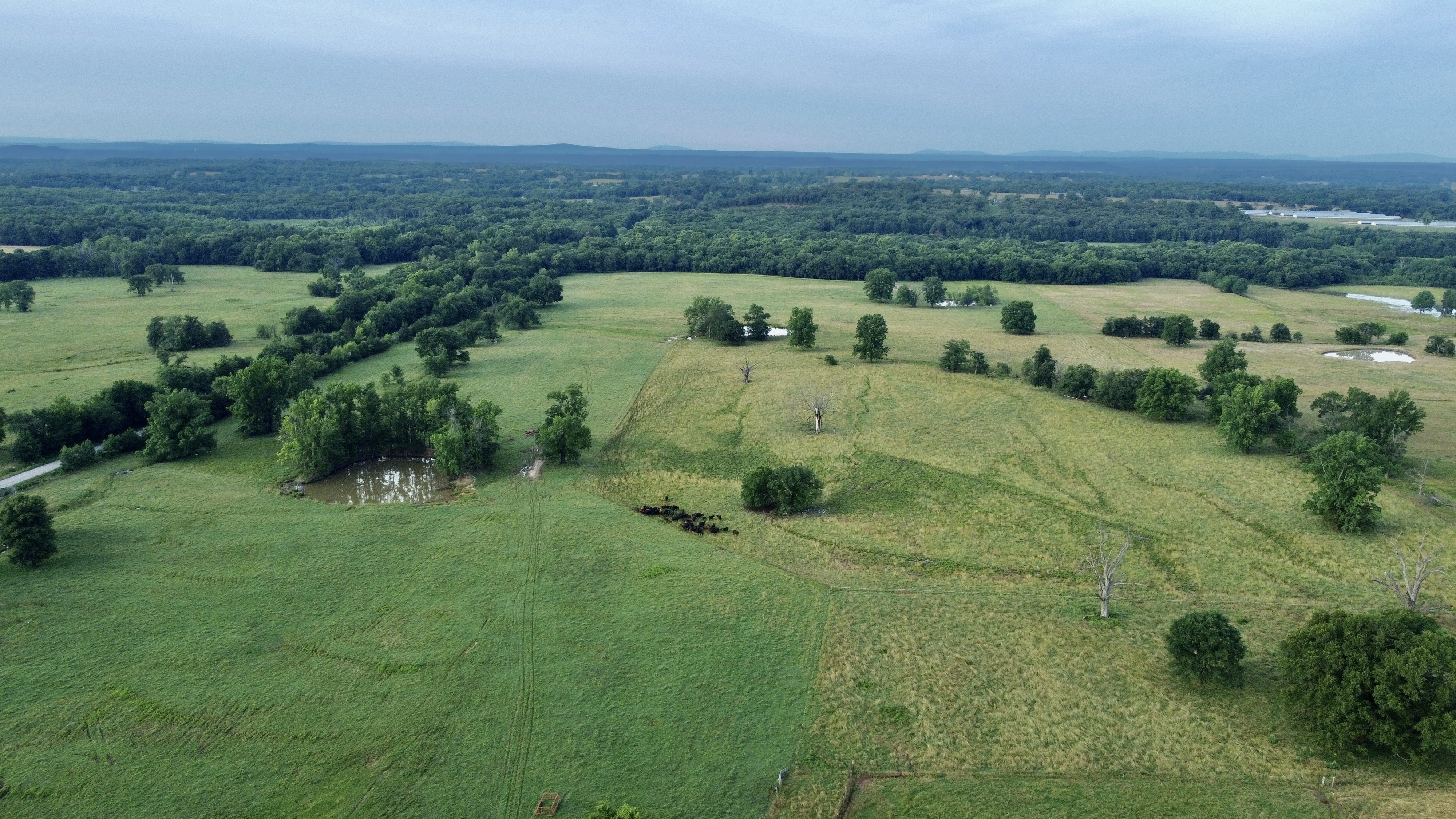 River Valley Rotational Grazing