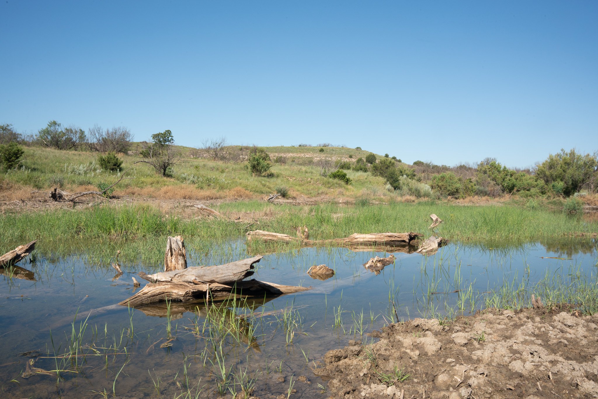Miller Land & Cattle, LTD