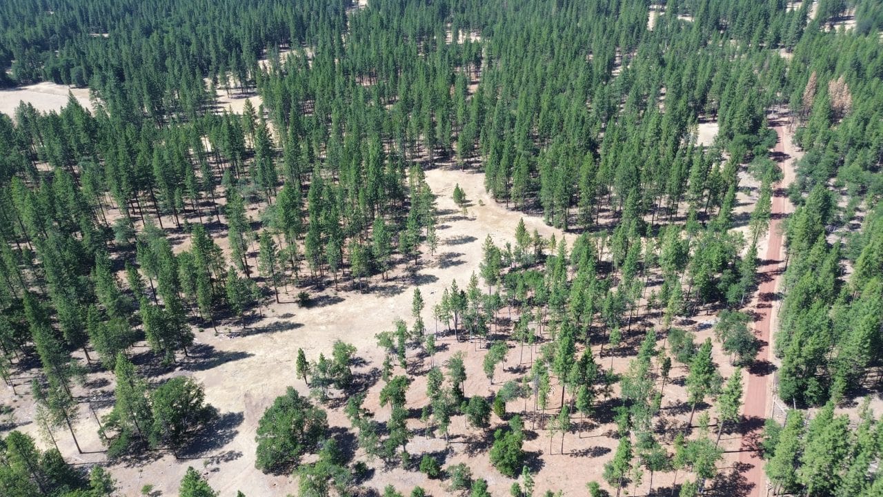 Listing Image 4
