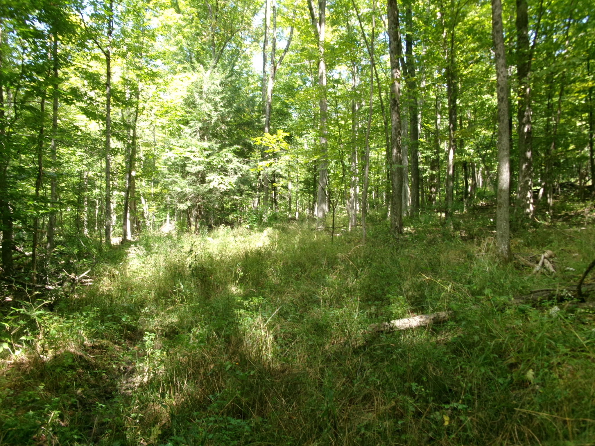 Listing Image 17