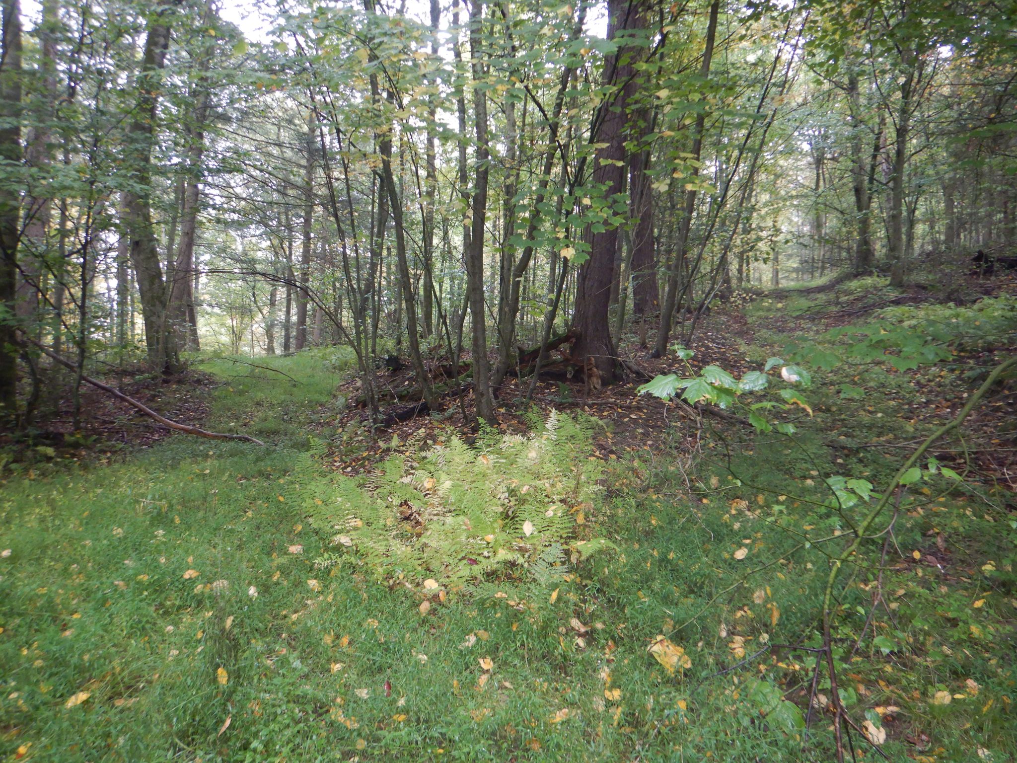 Listing Image 21