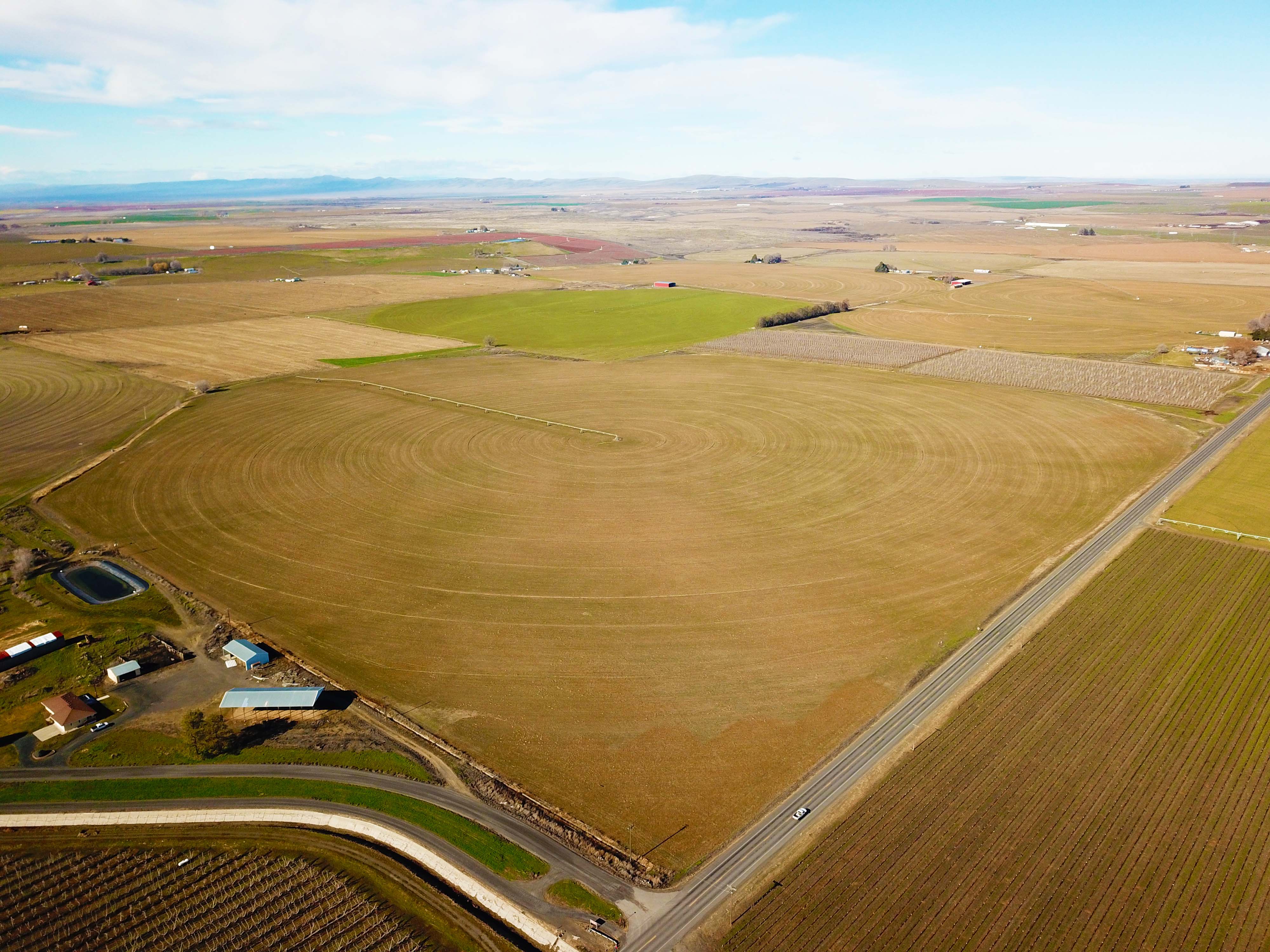 Fern Road Irrigated farm