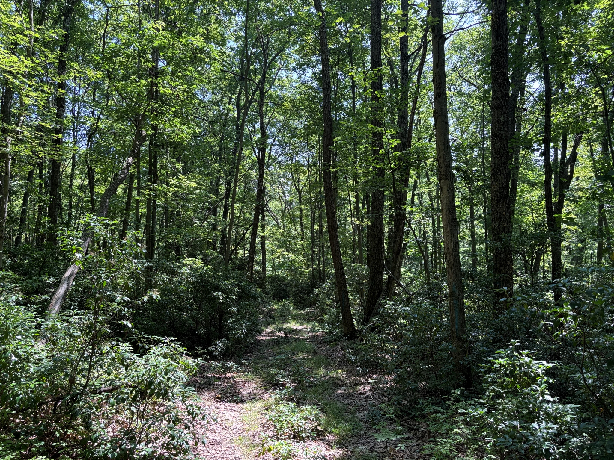 Listing Image 43