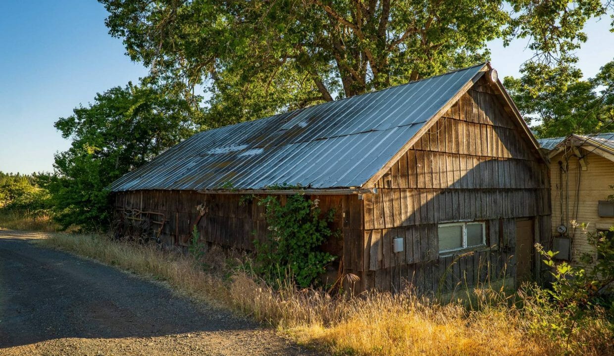 Sauer's Flat Farm & Ranch