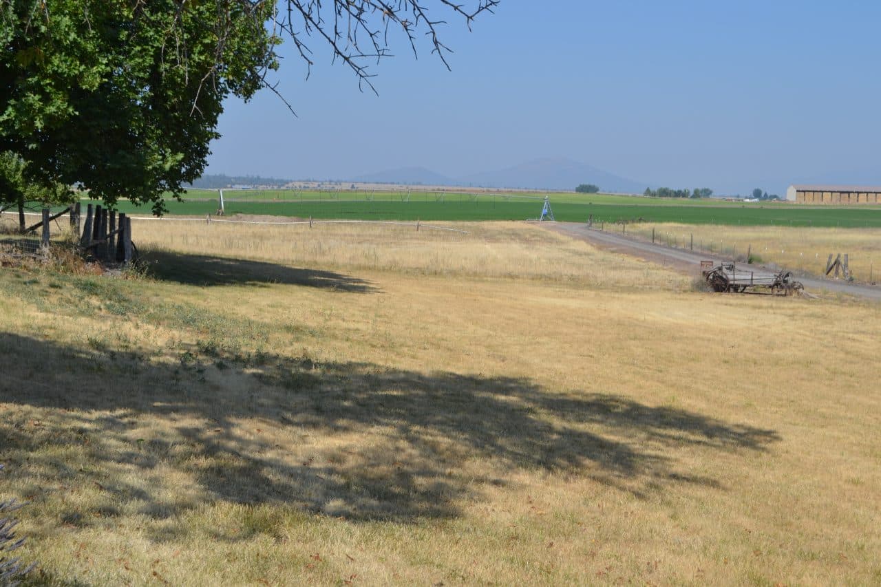 Listing Image 41