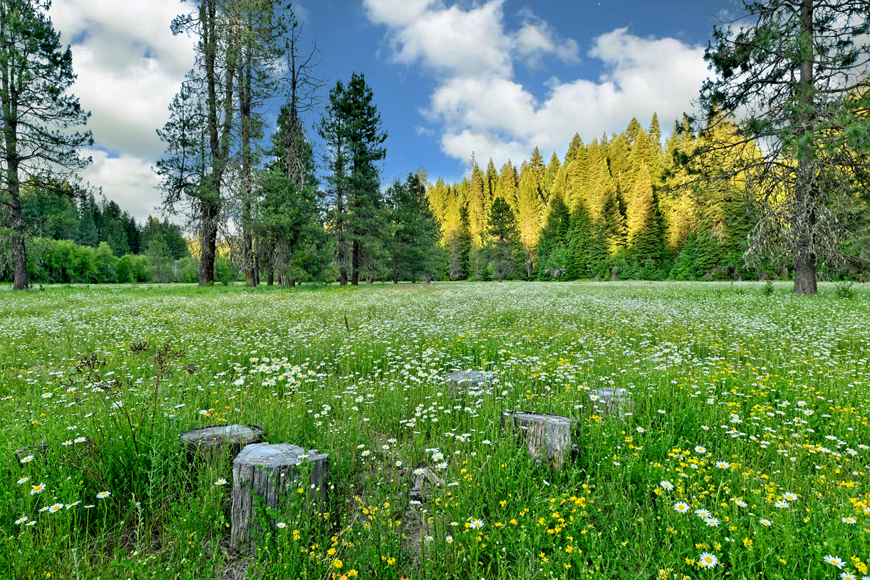 Inter Mountain Ranch