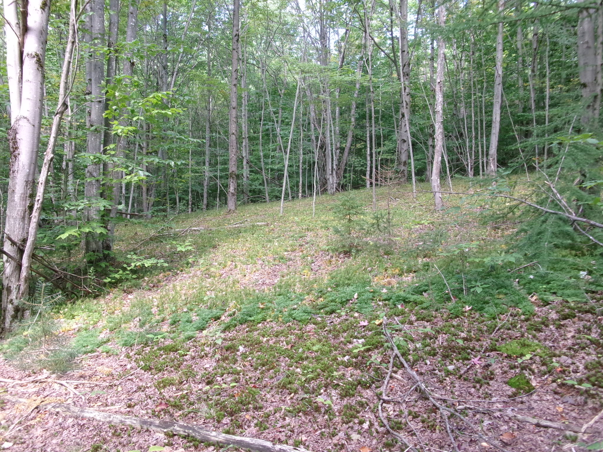 Listing Image 37