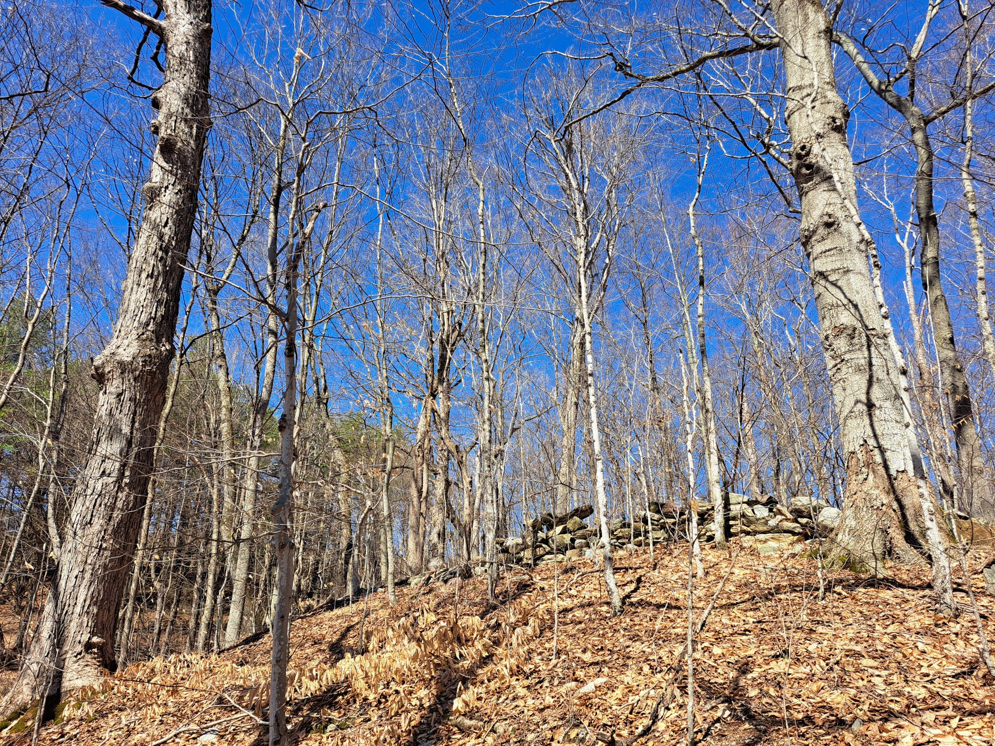 Listing Image 45