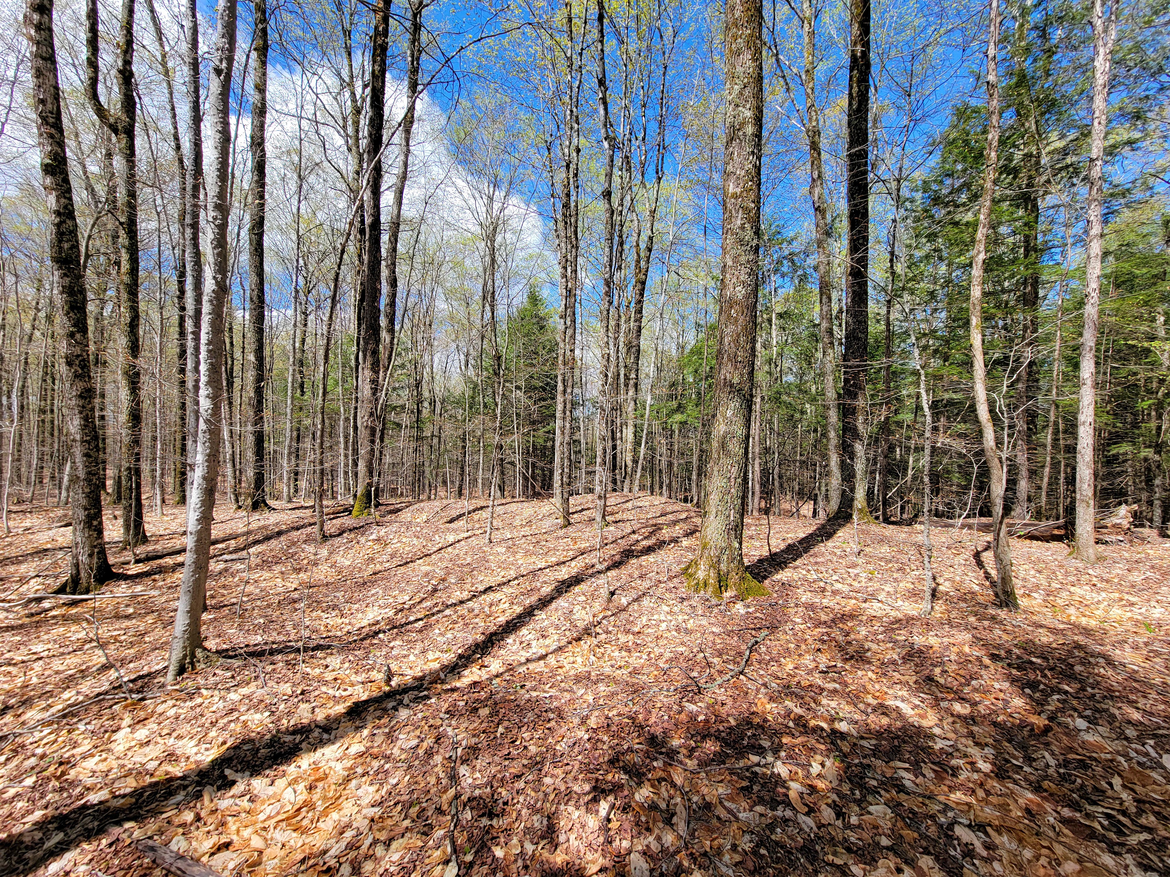 Listing Image 41