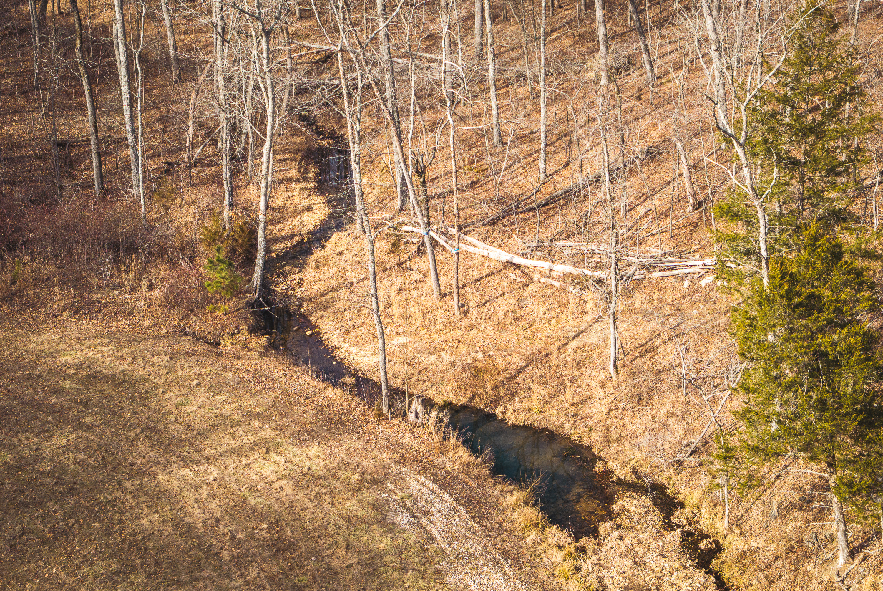 Curly Hole Camp at Peterball Spring
