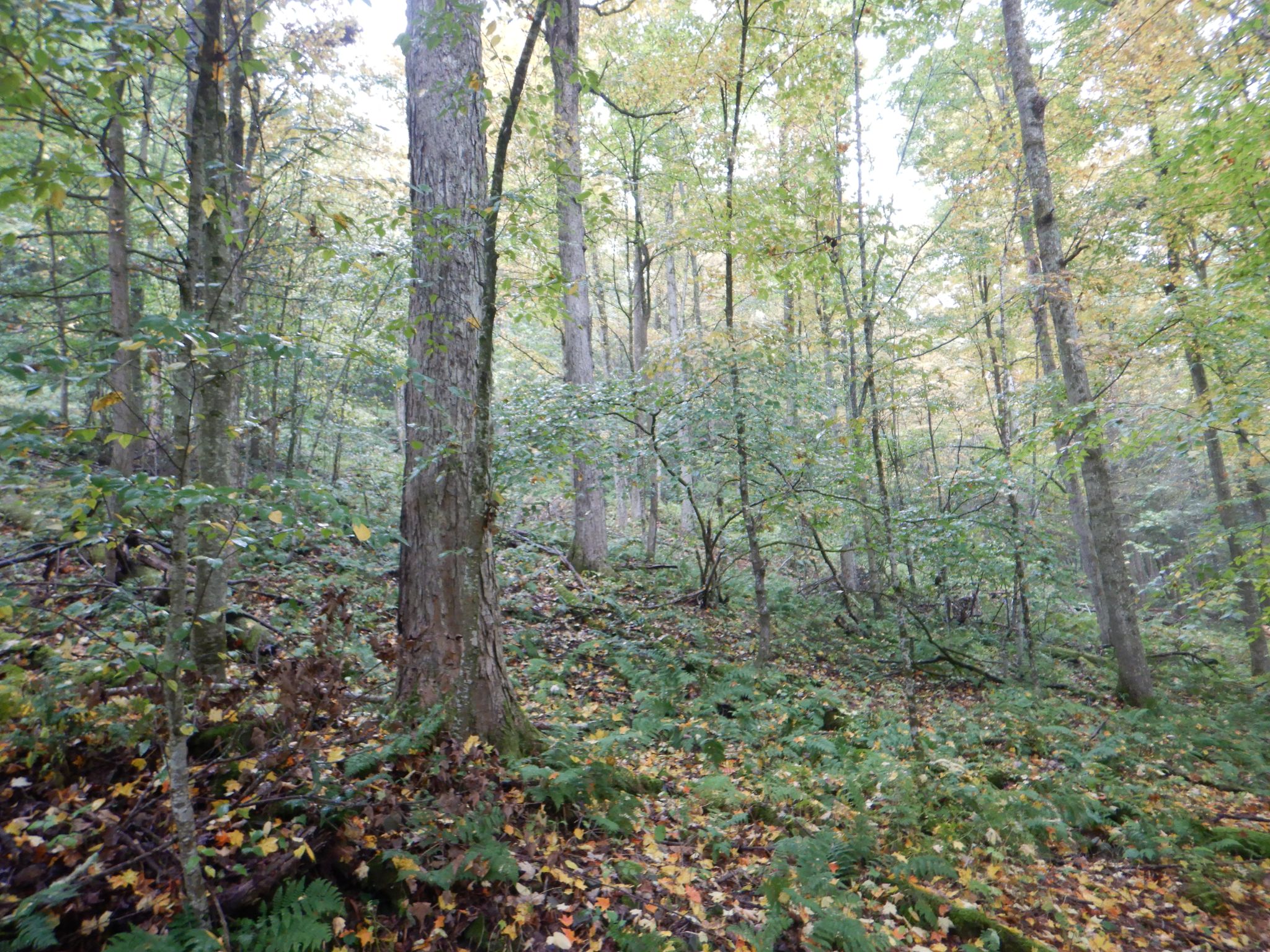 Listing Image 28