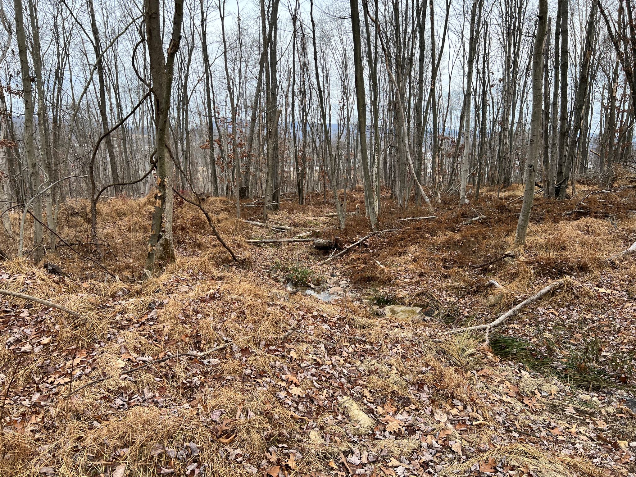 Listing Image 18