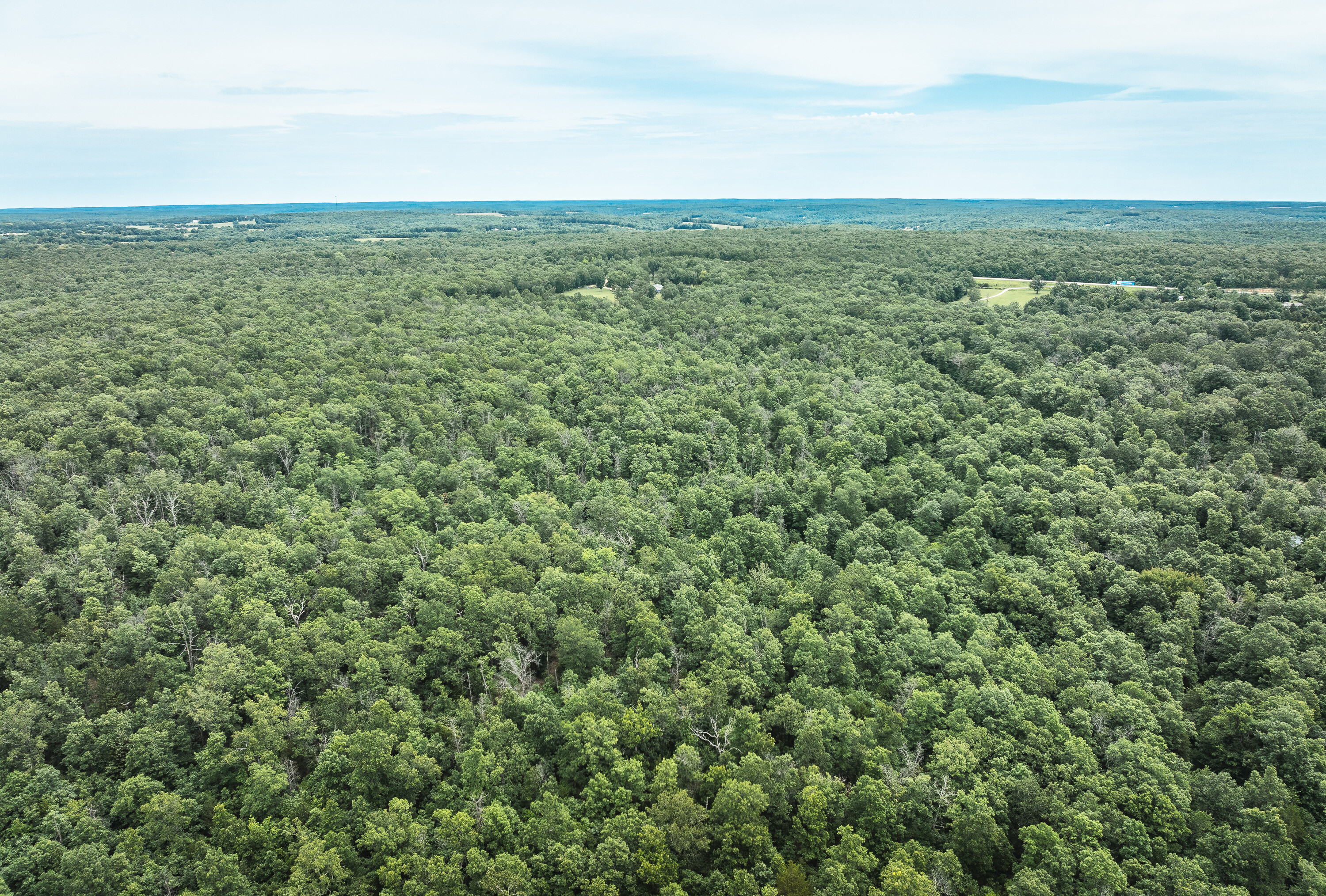 Phelps County Land & Timber 2 Tracts