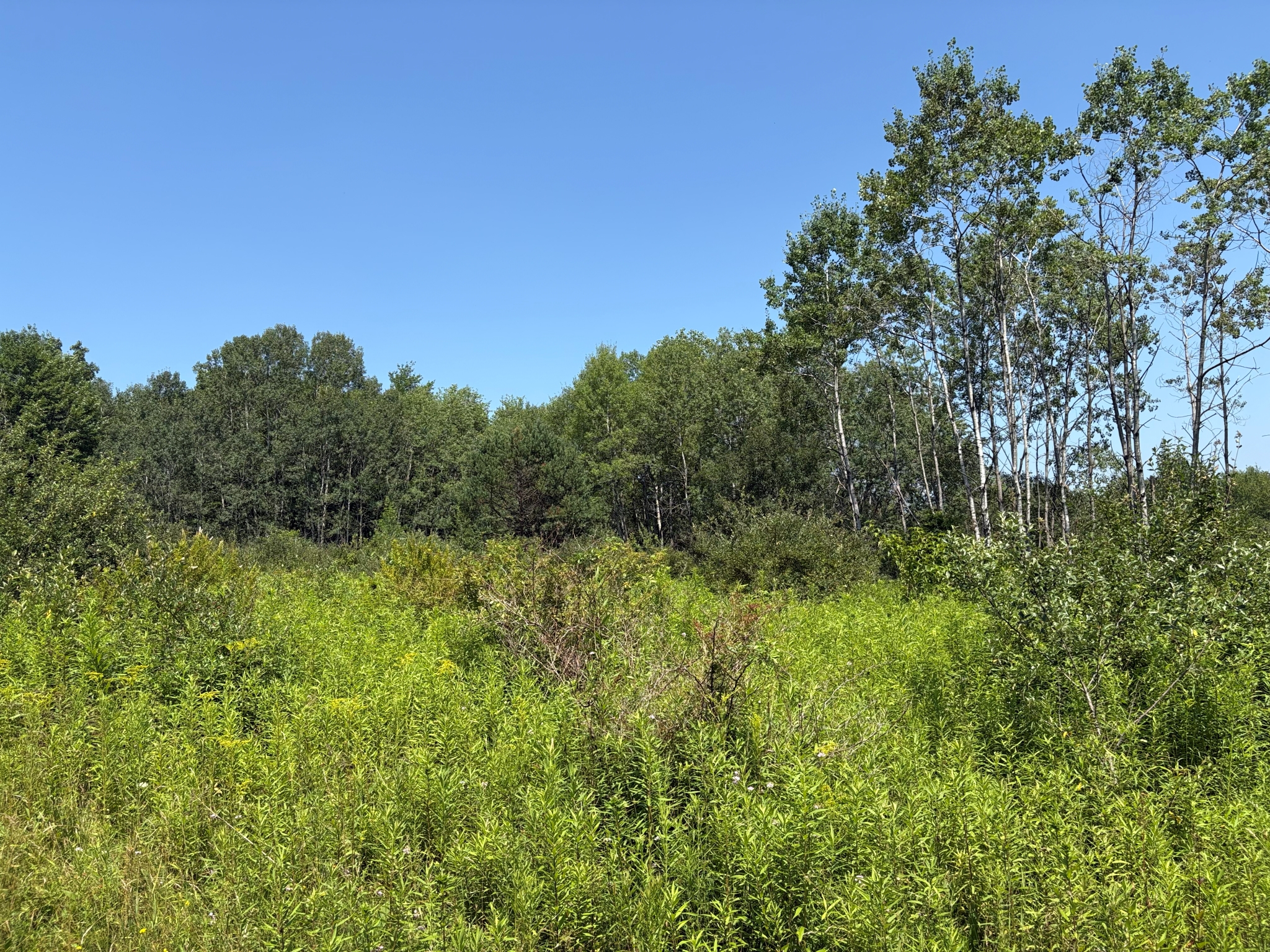 Listing Image 24