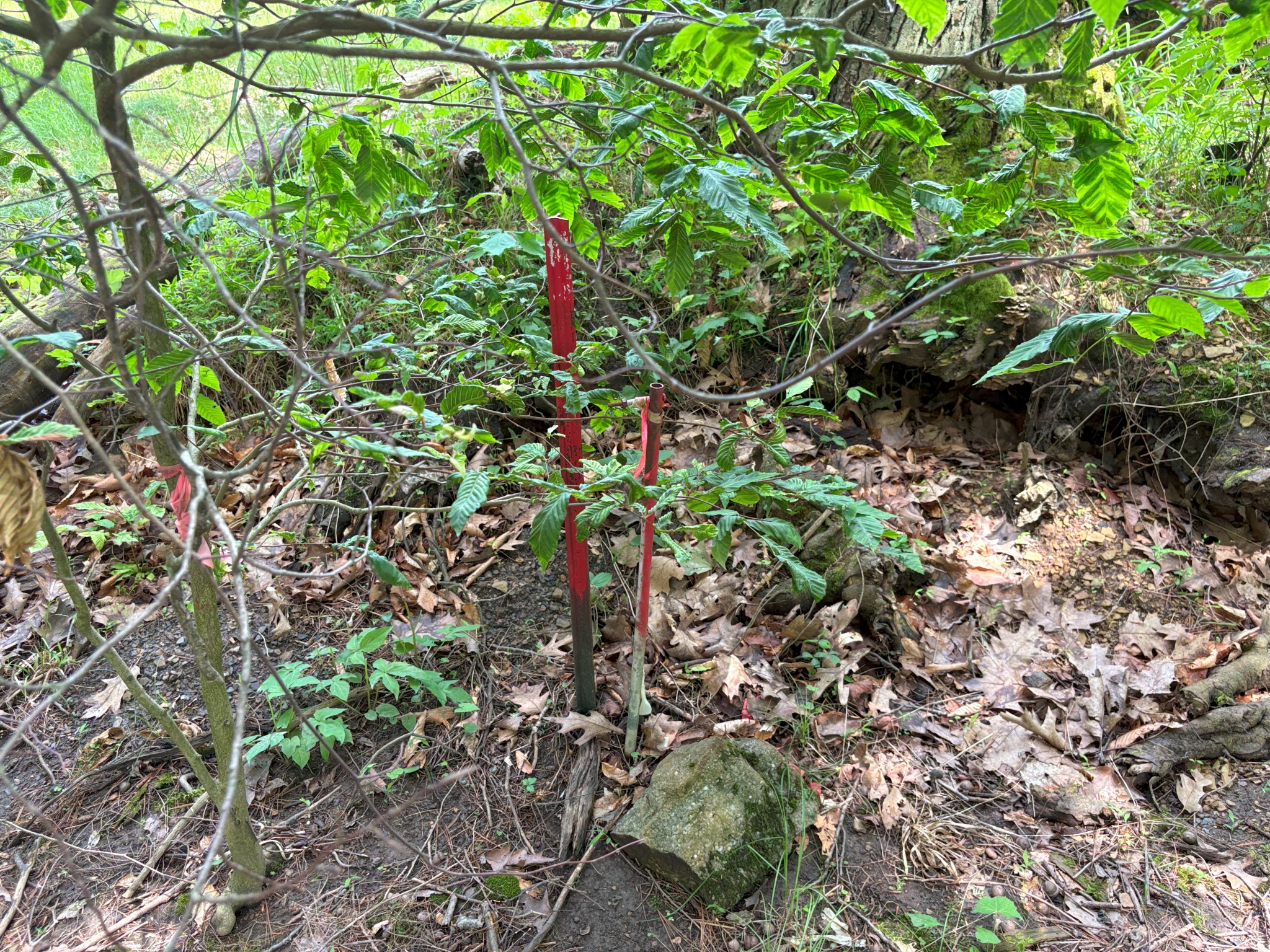 Prince Gallitzin Get-Away