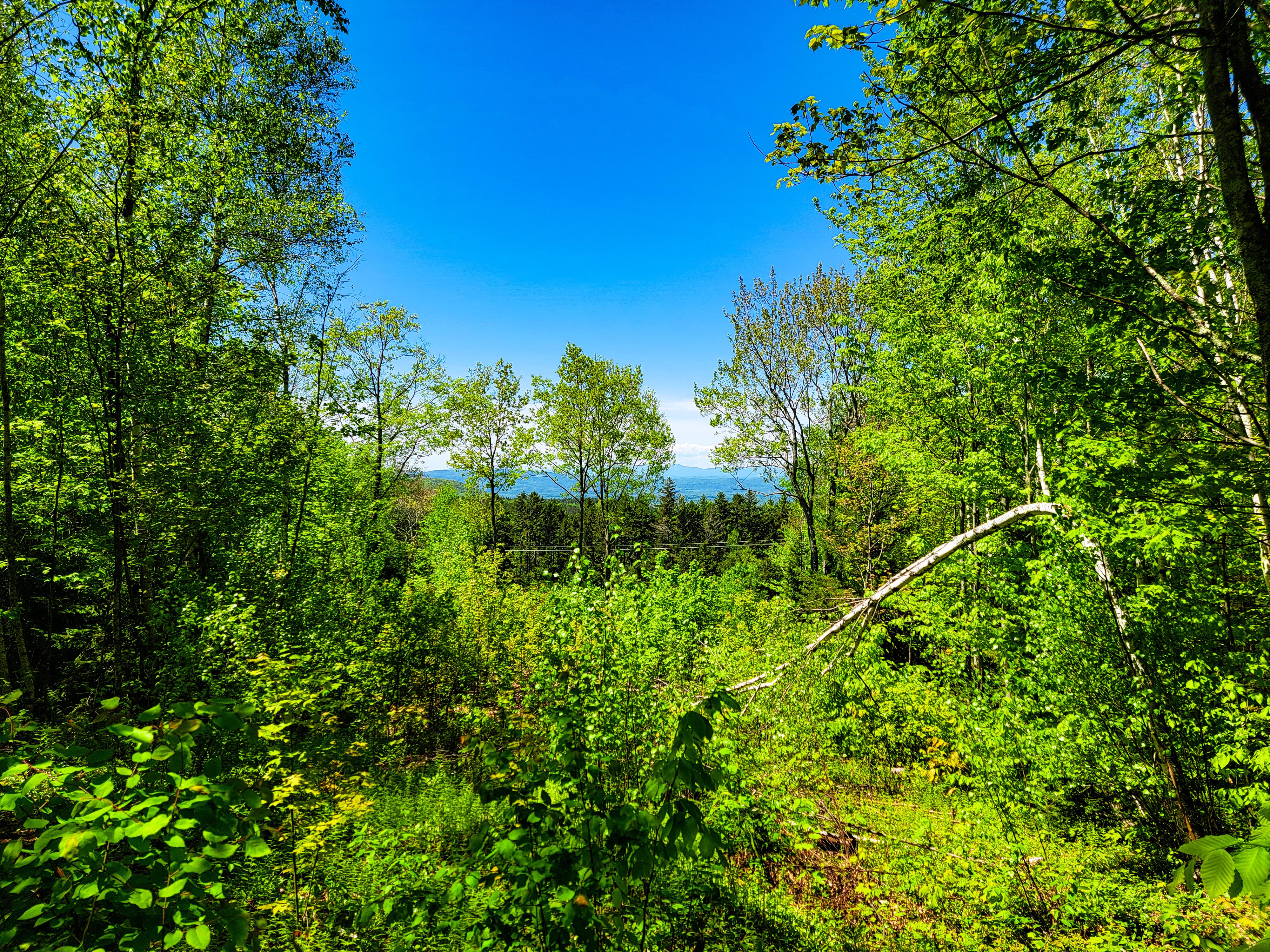 925 Hathaway Rd - Goshen