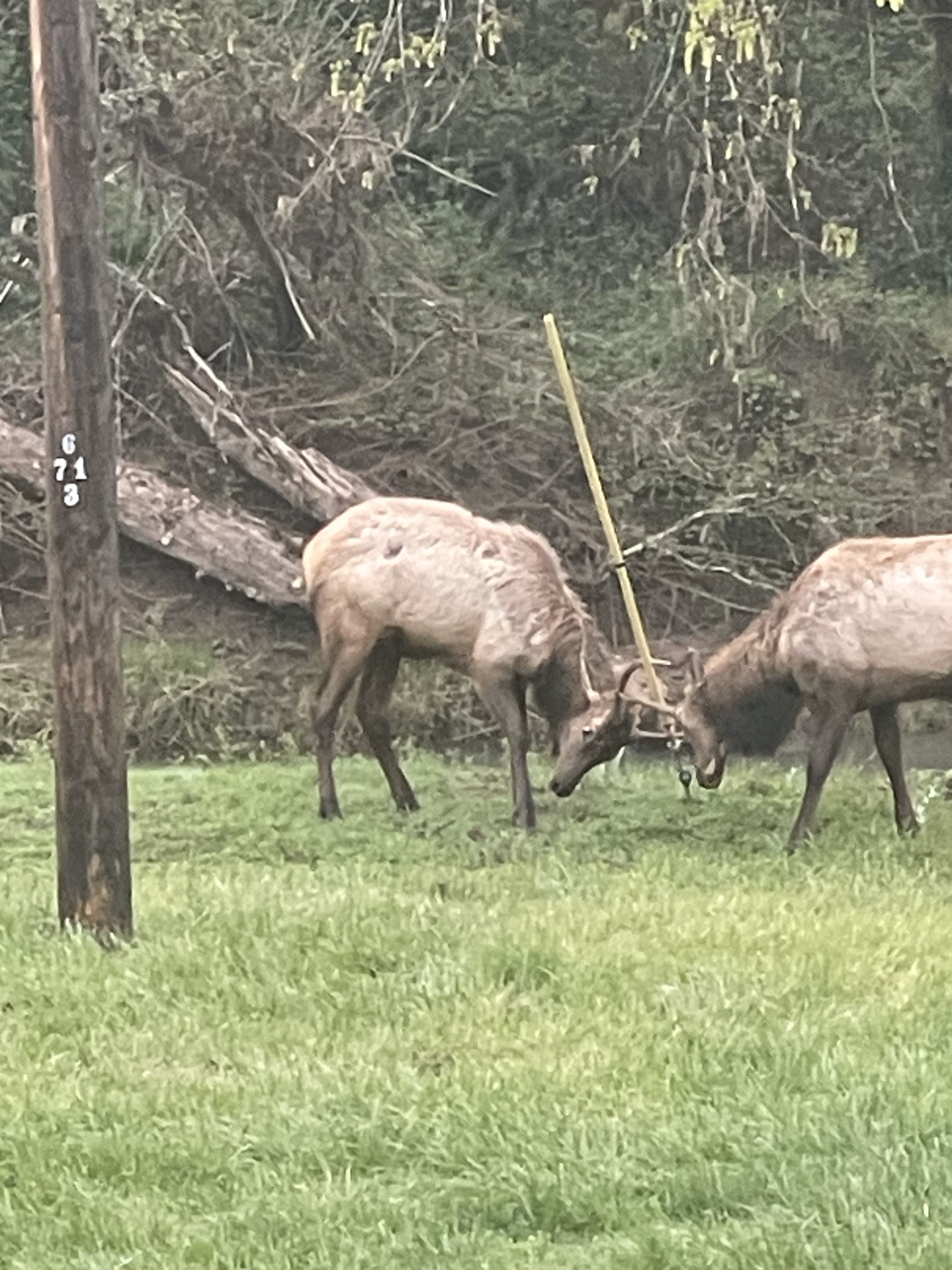 Kielblock Ranch